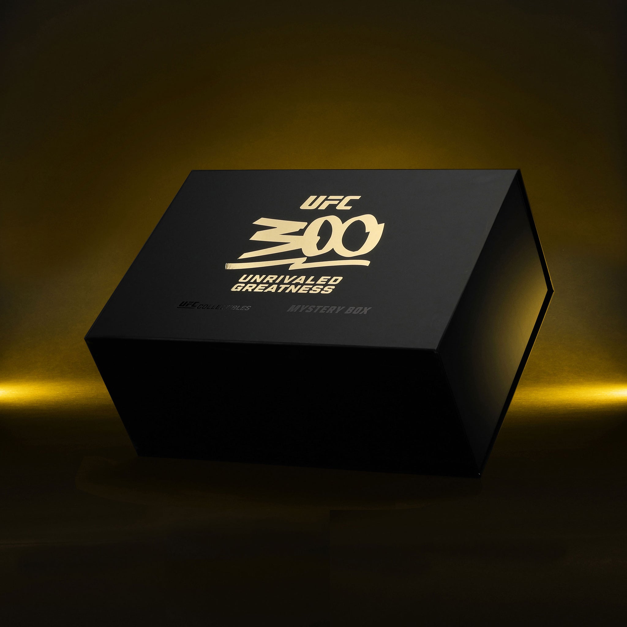 UFC 300 Mystery Box