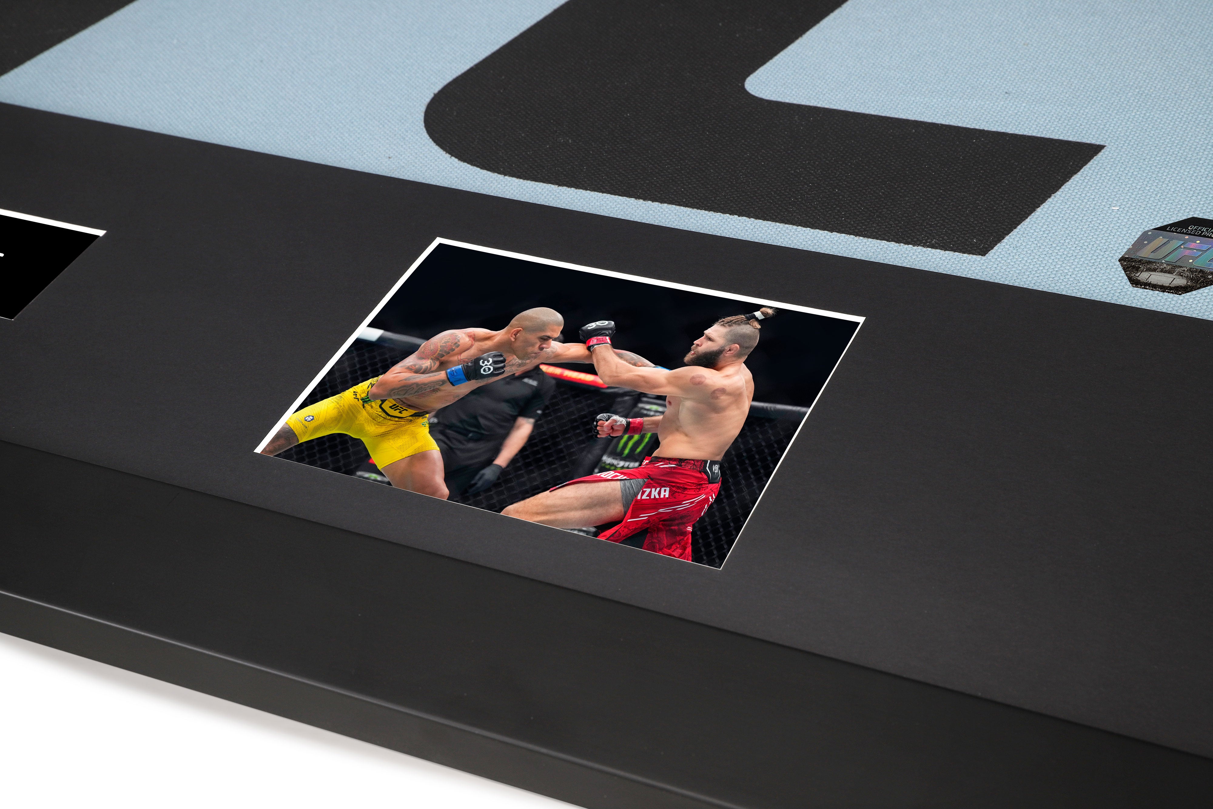 UFC 295: Prochazka vs Pereira UFC Logo Canvas & Photos
