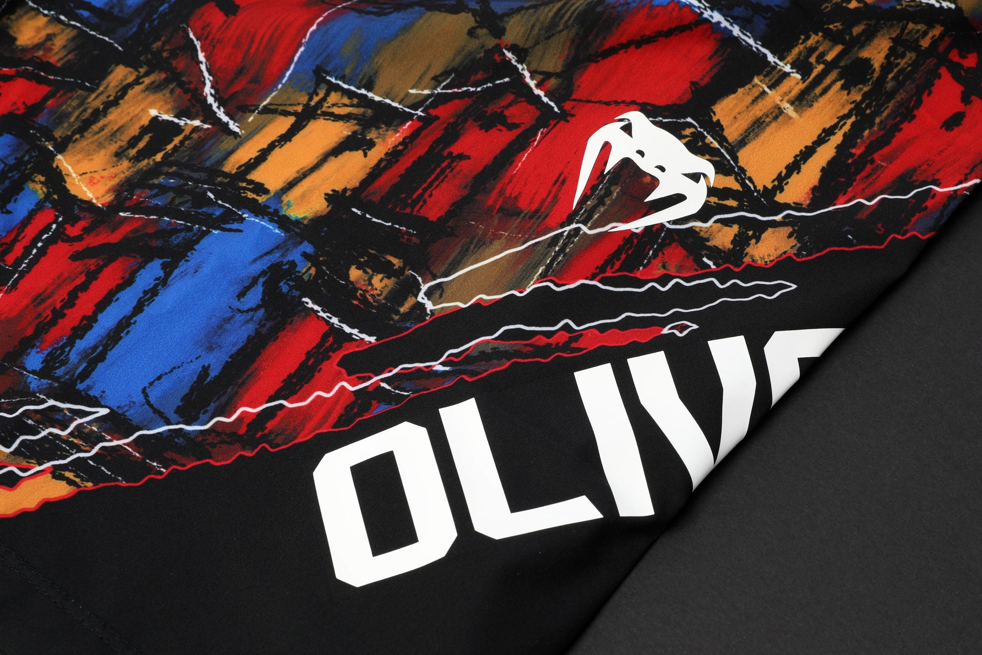 Charles Oliveira Limited Edition UFC 309 Venum Shorts & Canvas Display