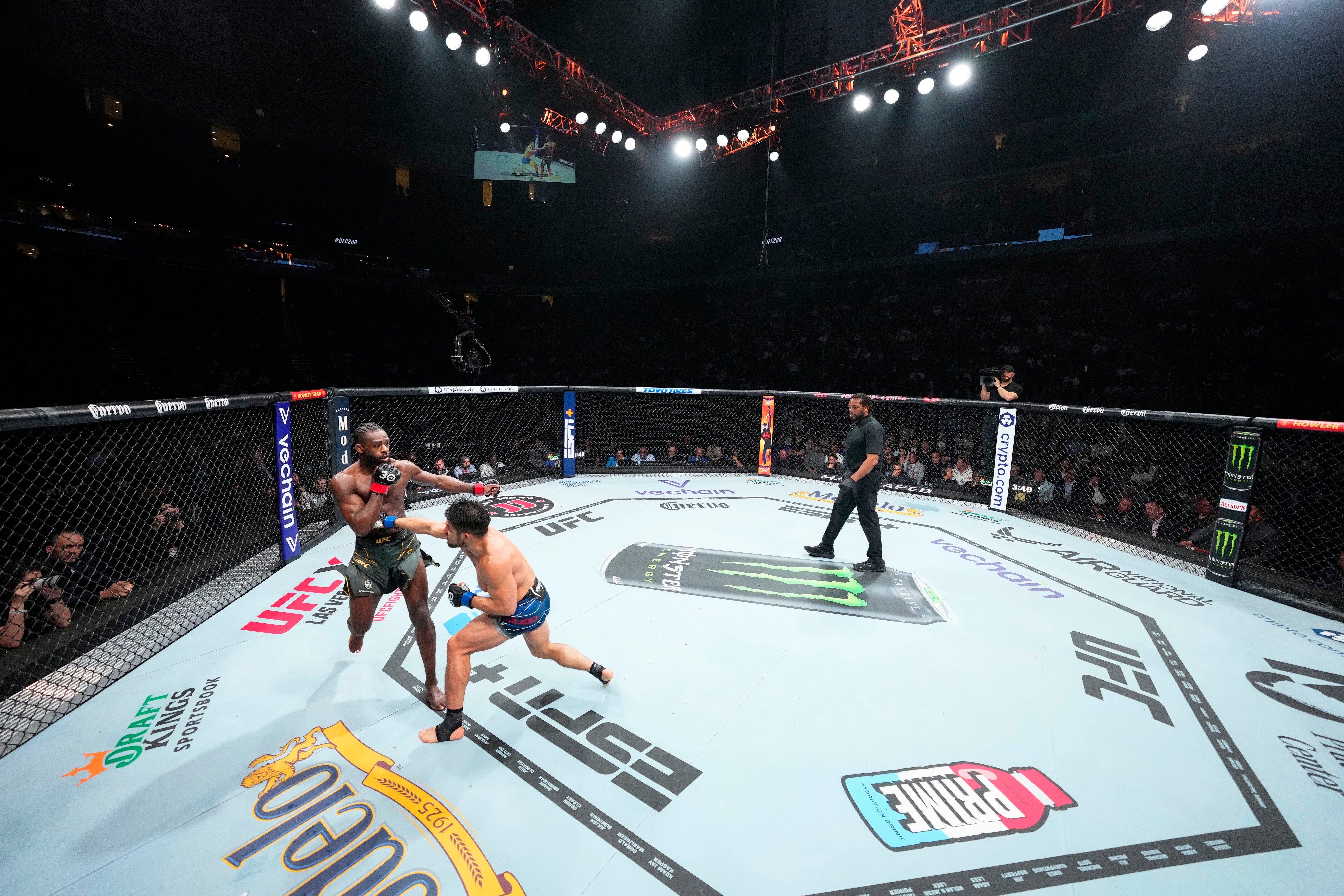 SOLD OUT: UFC 290 Name On Canvas