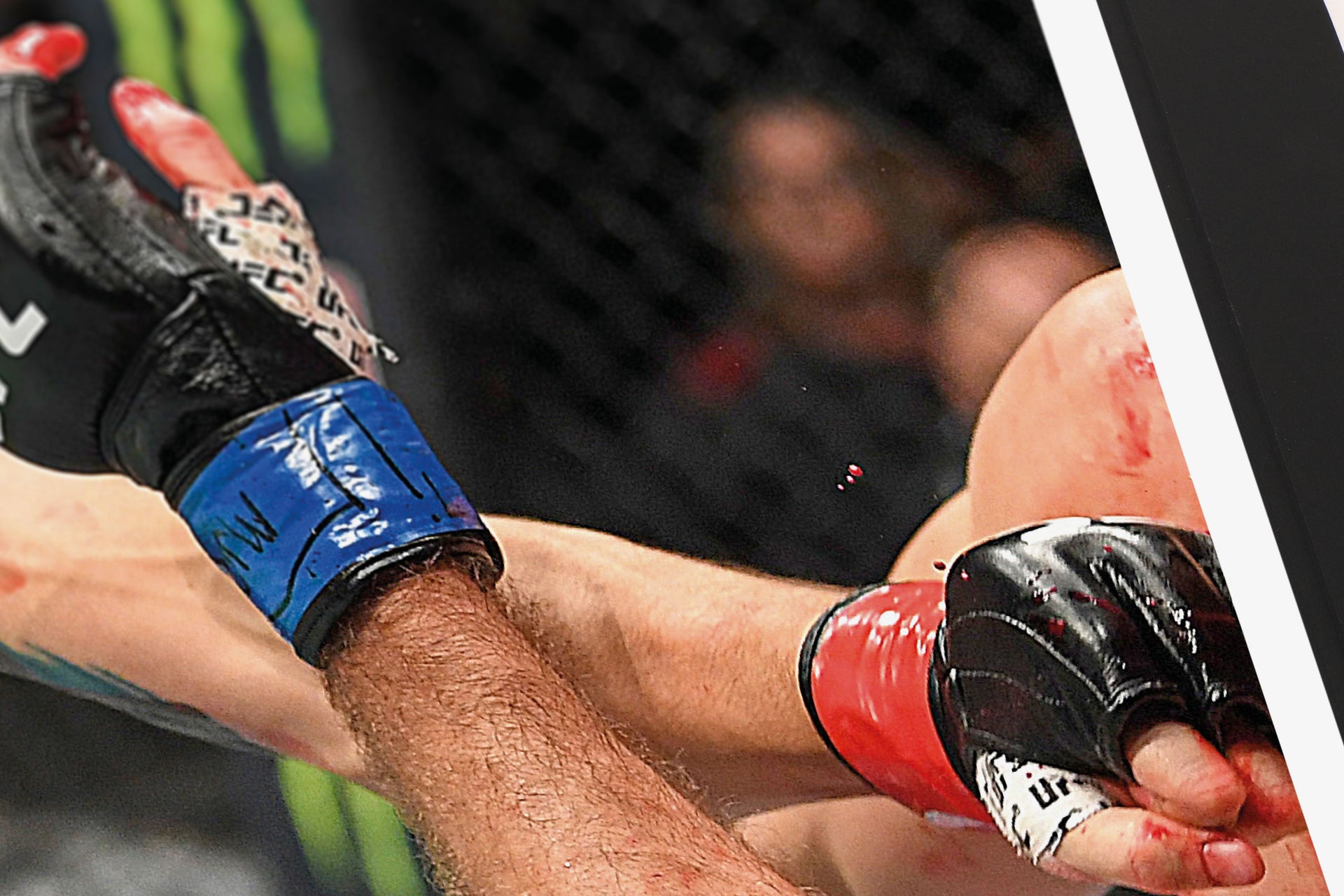 Max Holloway Signed Photo UFC 231