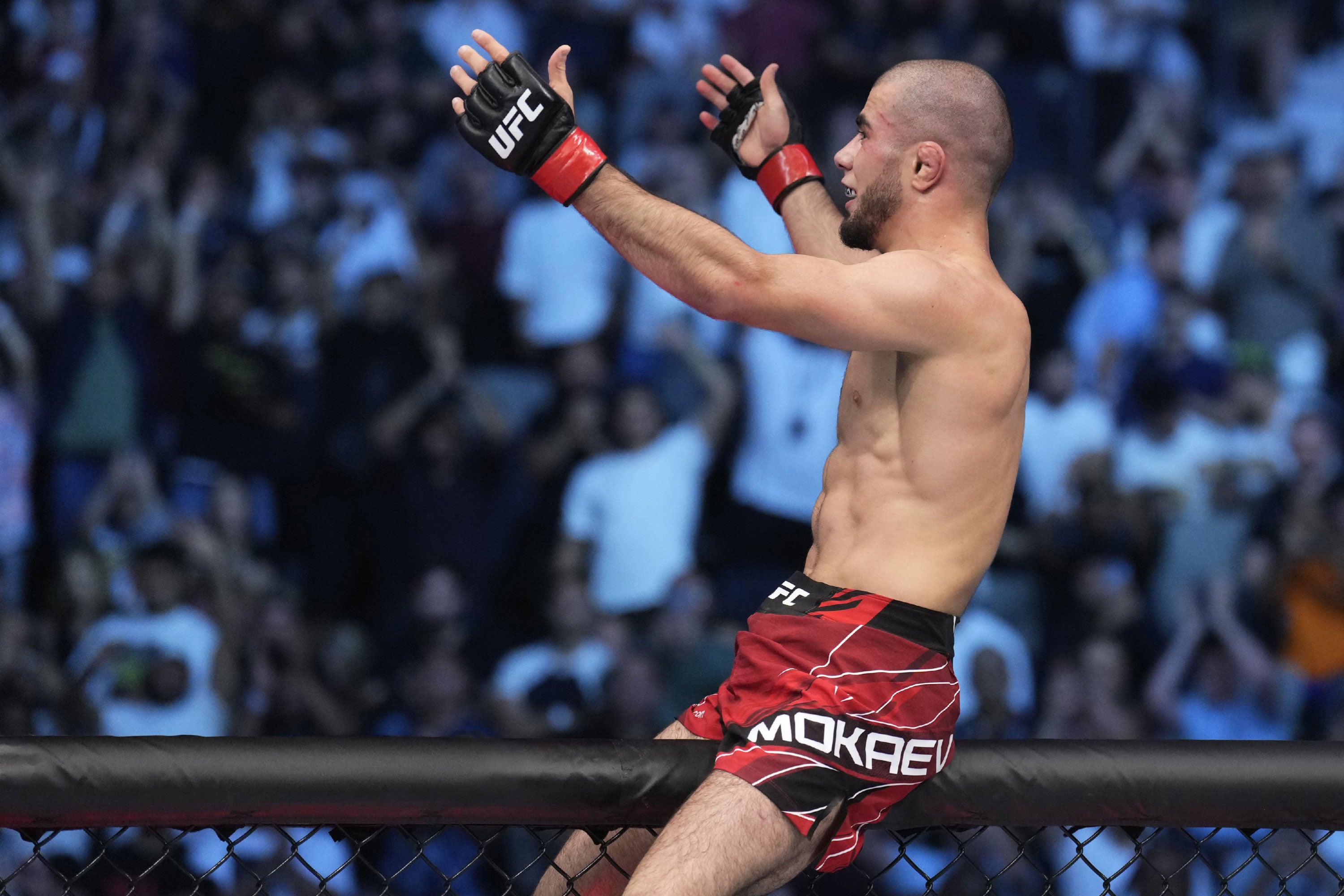 Muhammad Mokaev Signed Photo UFC 280: Oliveira vs. Makhachev