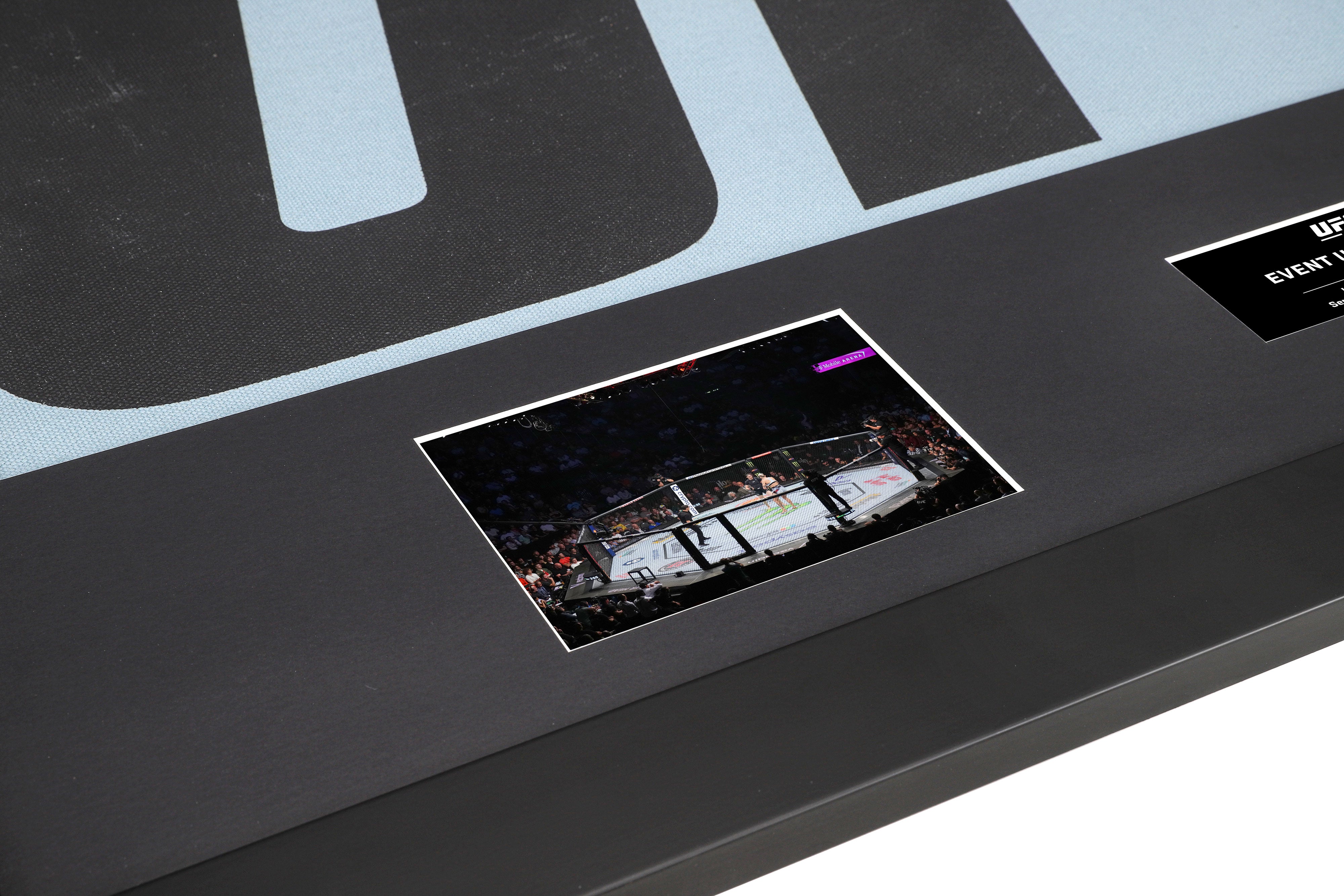 UFC 279: Diaz vs Ferguson UFC Logo Canvas & Photo