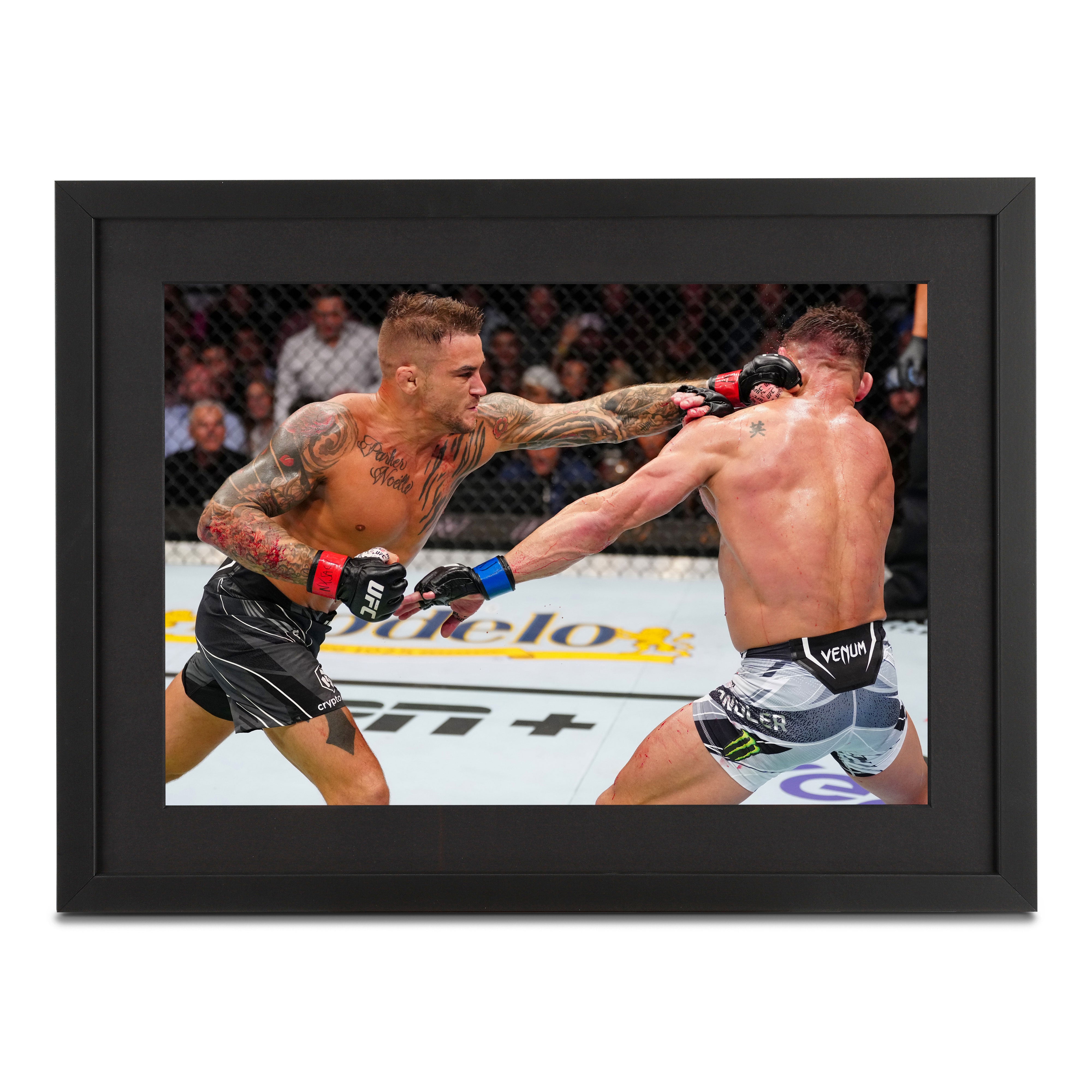 Dustin Poirier Framed Photo UFC 281: Adesanya vs. Pereira