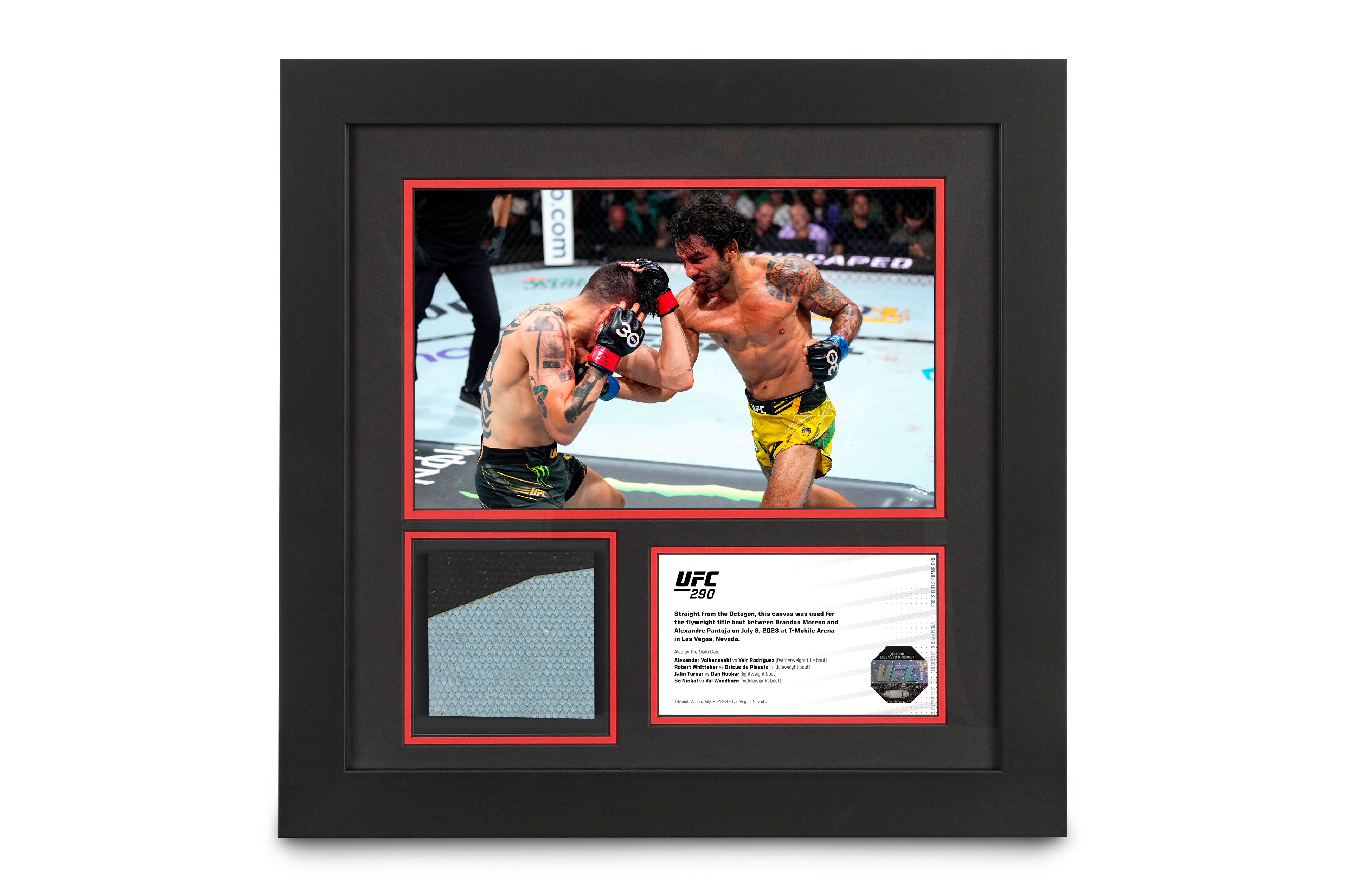 UFC 290: Canvas & Photo Moreno vs Pantoja