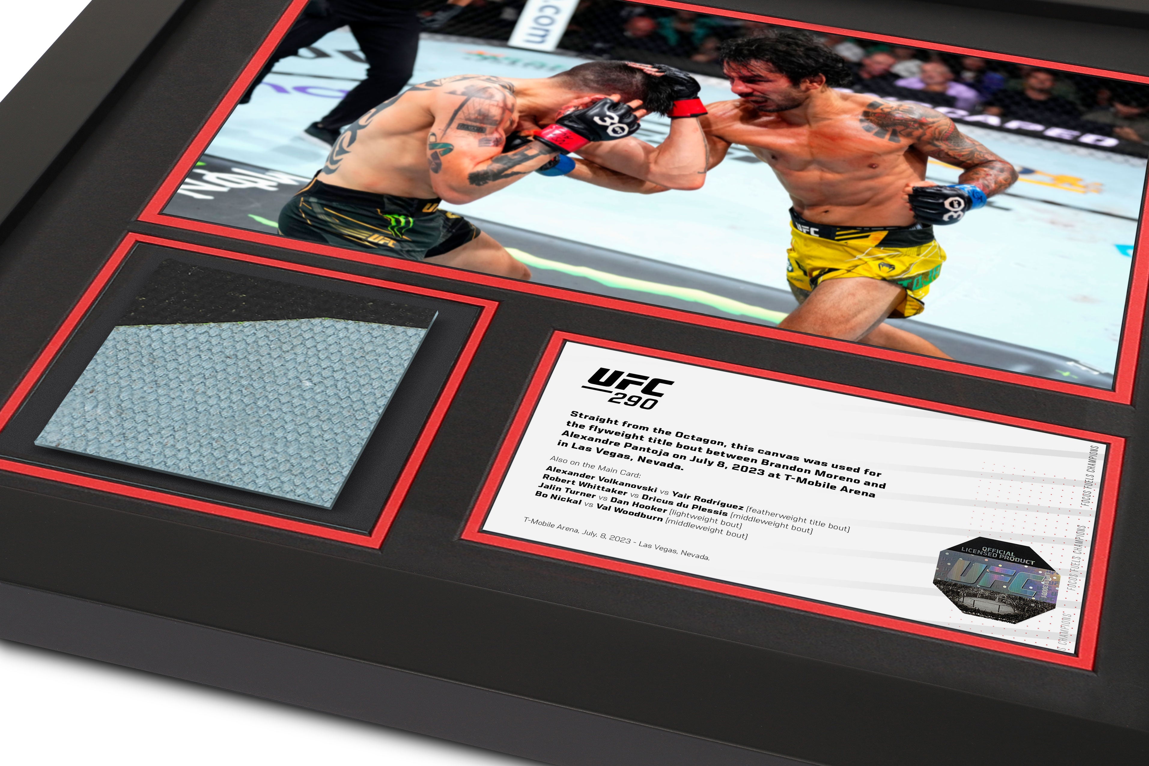 UFC 290: Canvas & Photo Moreno vs Pantoja