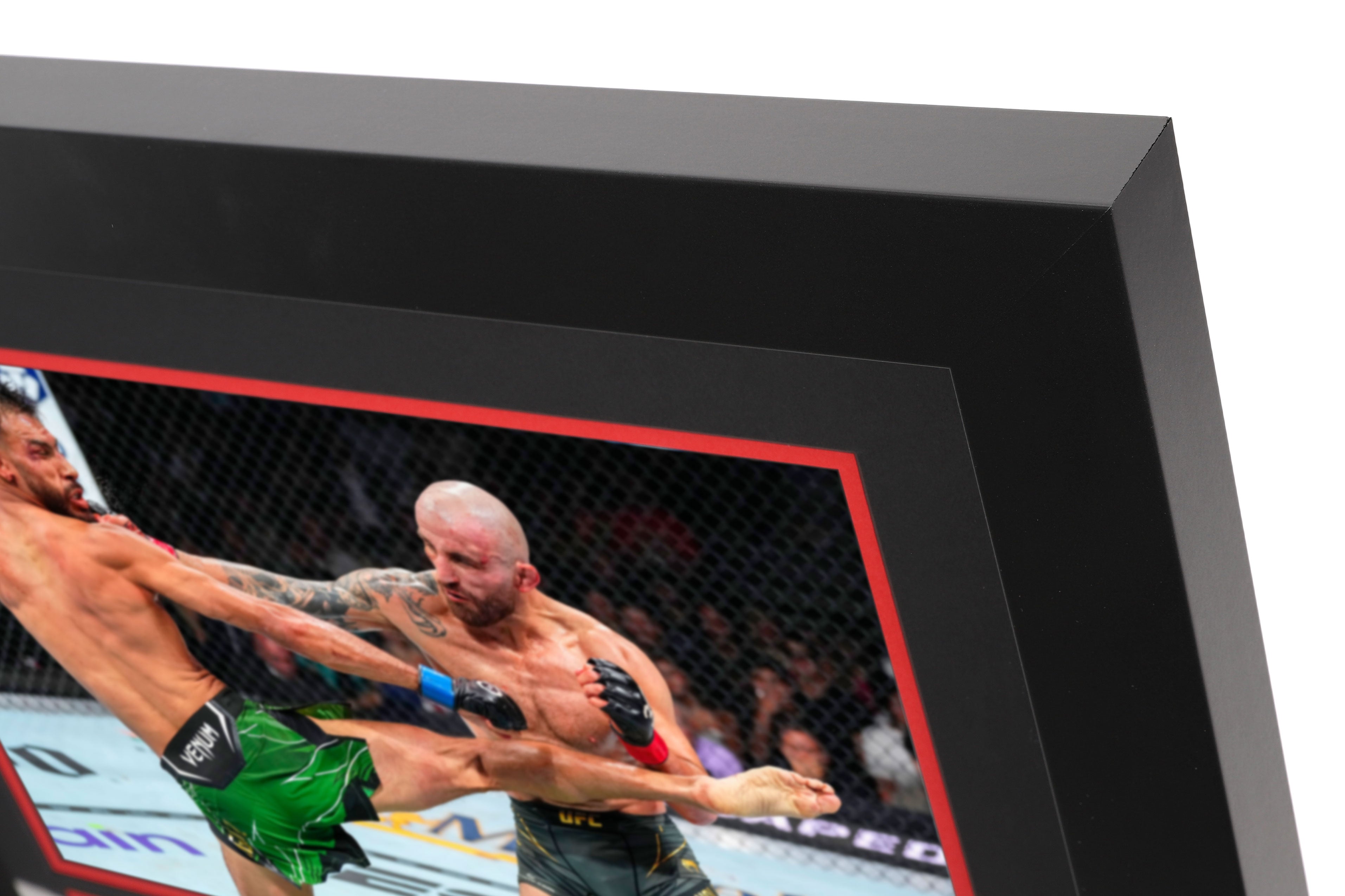 UFC 290: Volkanovski vs Rodriguez Canvas & Photo