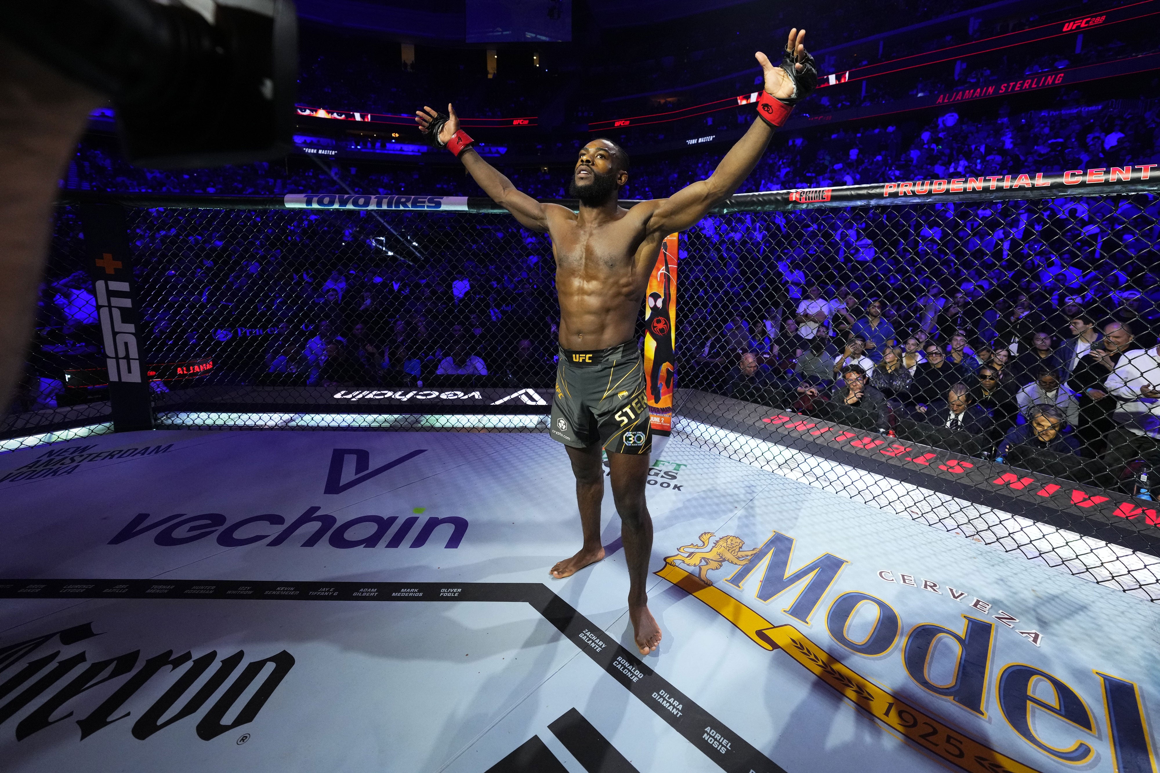 SOLD OUT: UFC 292: Sterling vs O'Malley Name On Canvas