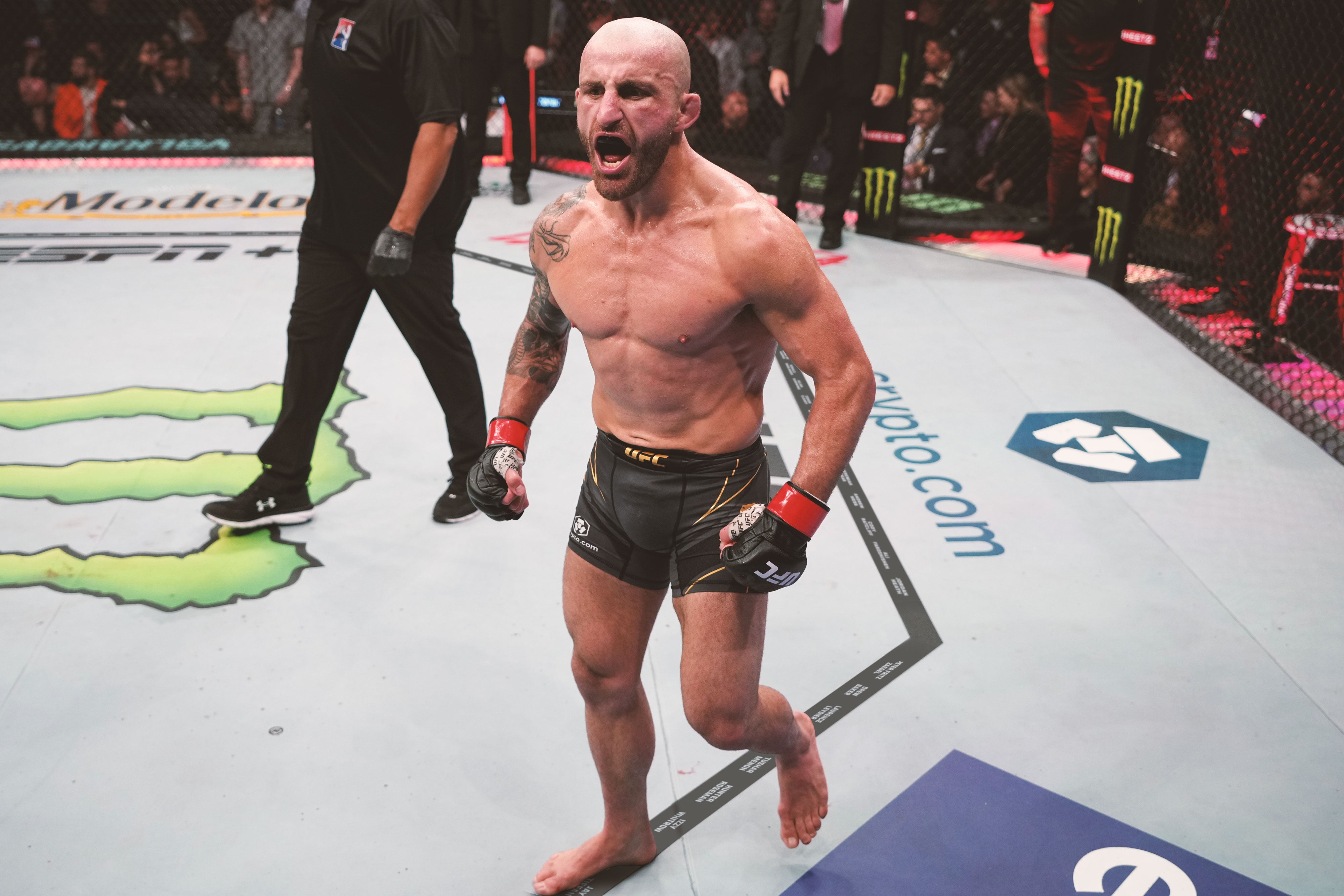 SOLD OUT: UFC 290 Name On Canvas