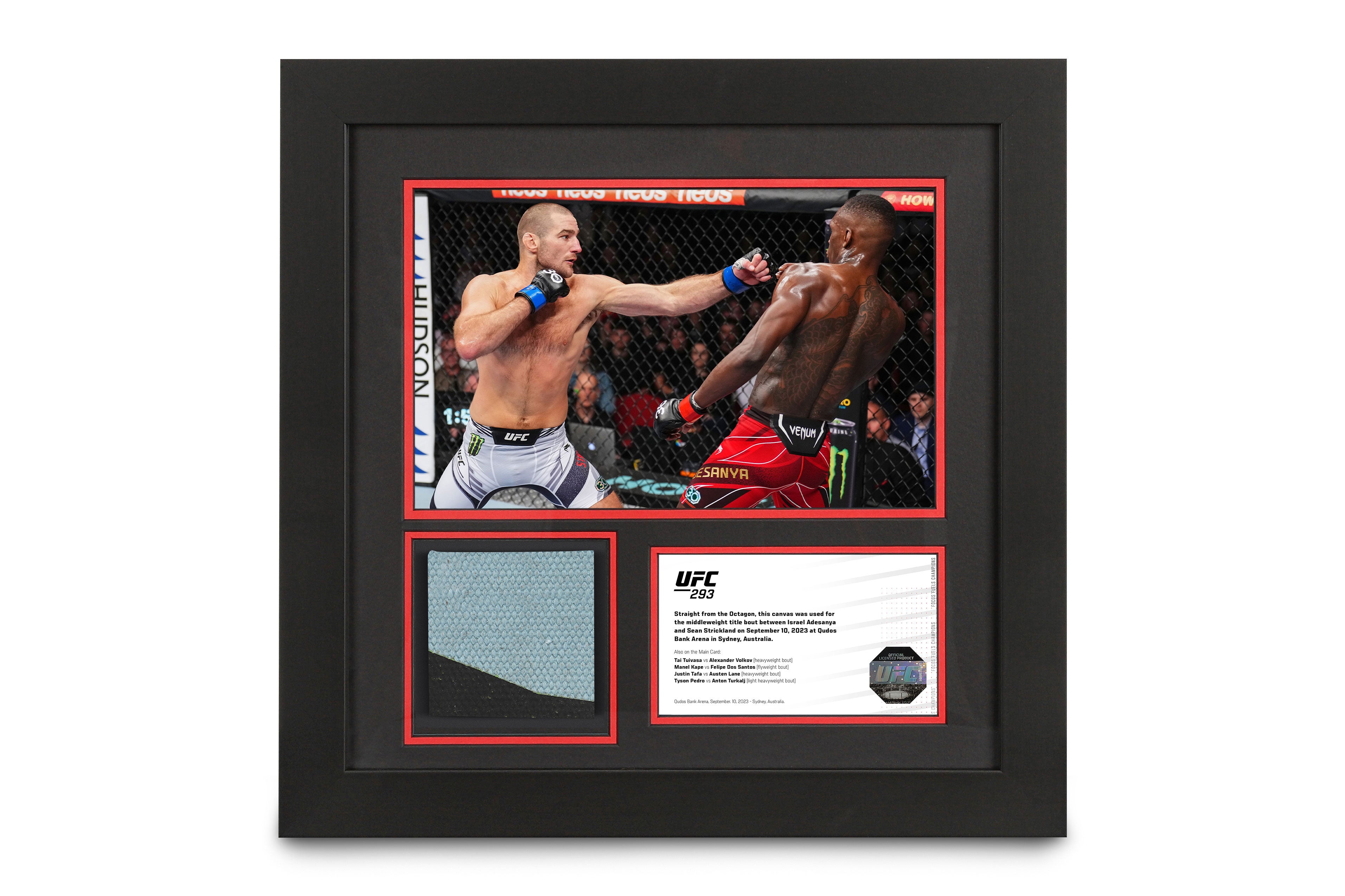 UFC 293: Adesanya vs Strickland Canvas & Photo
