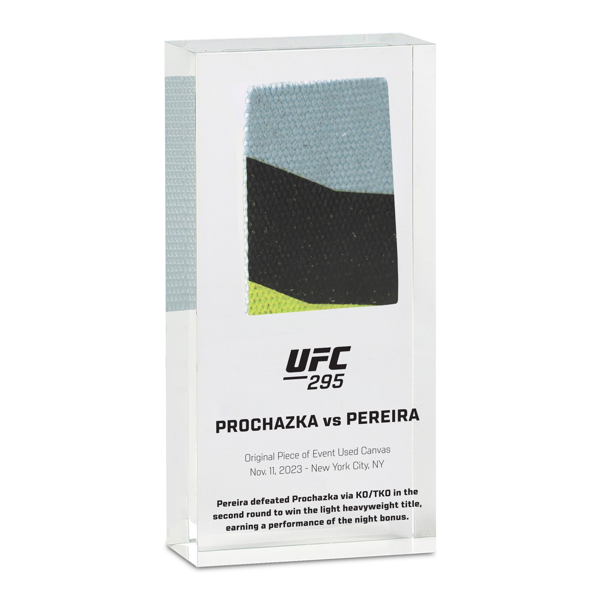 UFC 295 Jones vs Miocic Canvas in Acrylic