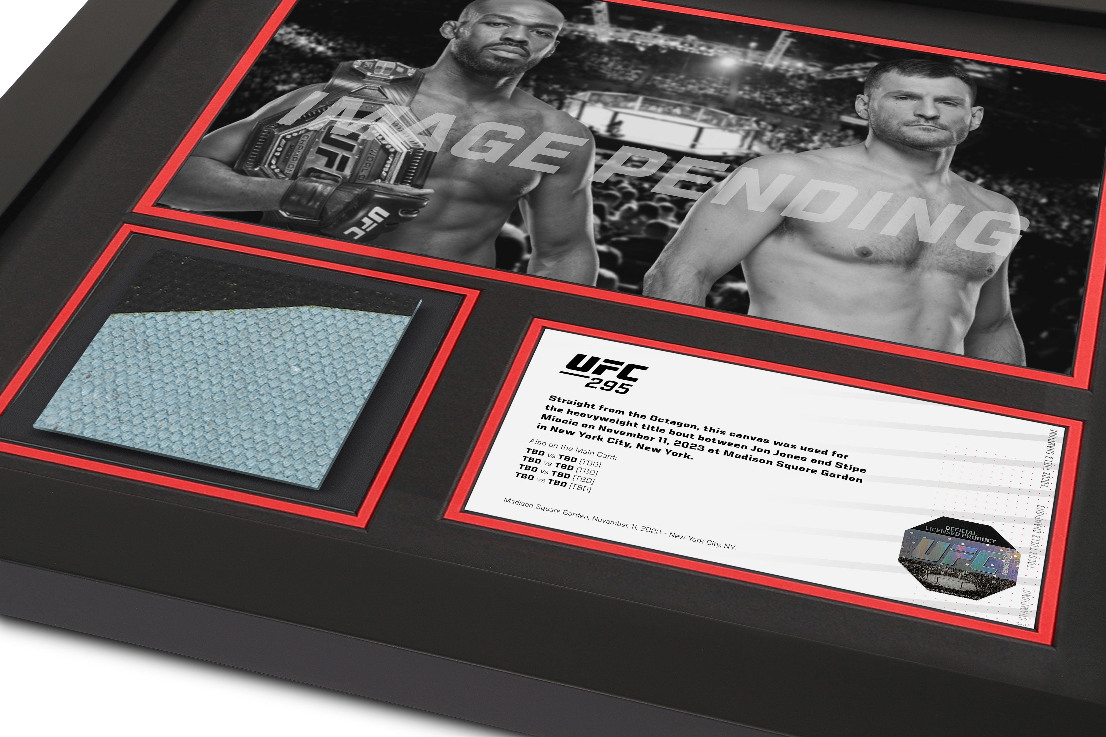 UFC 295: Jones vs Miocic Canvas & Photo
