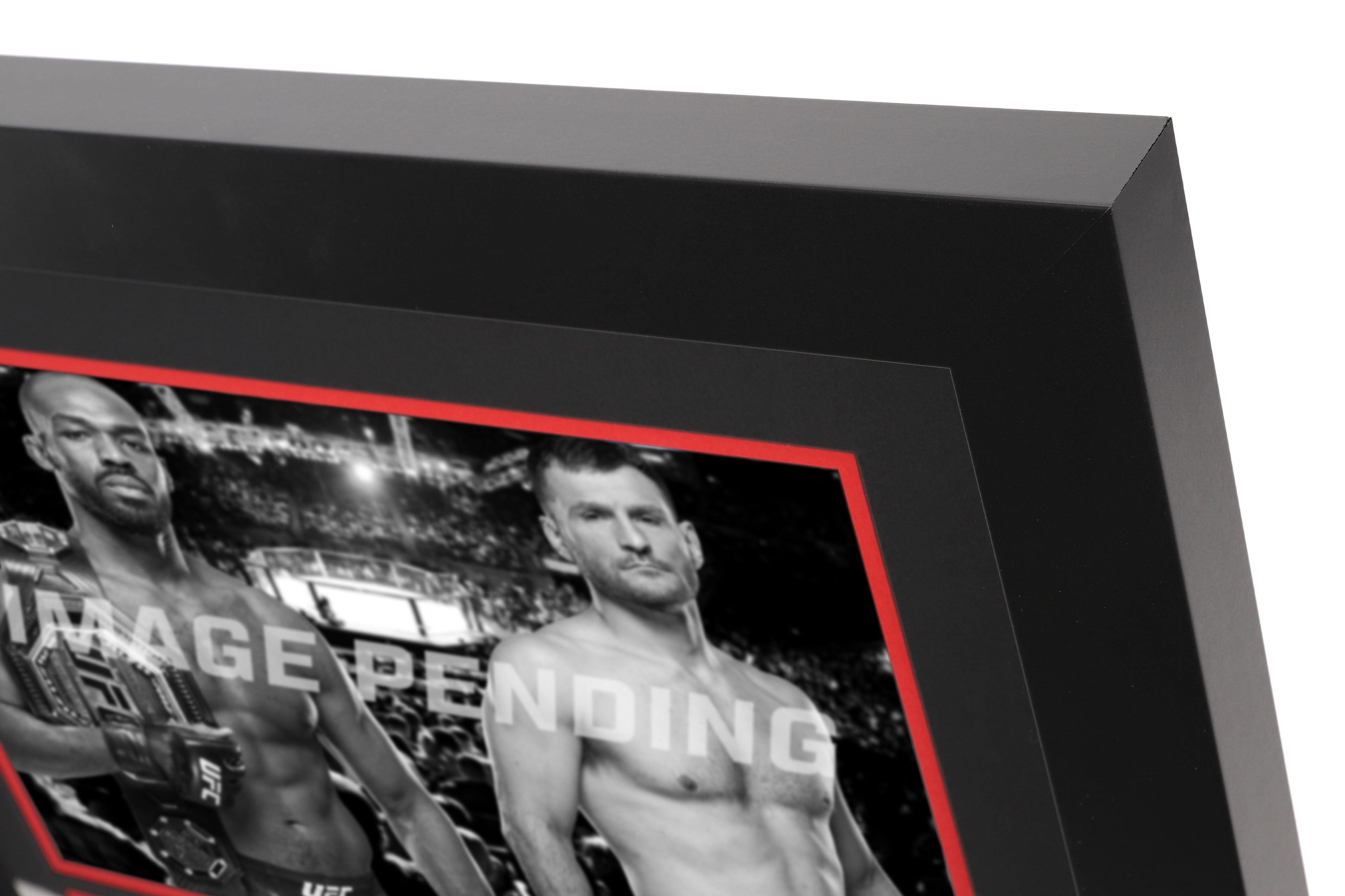 UFC 295: Jones vs Miocic Canvas & Photo