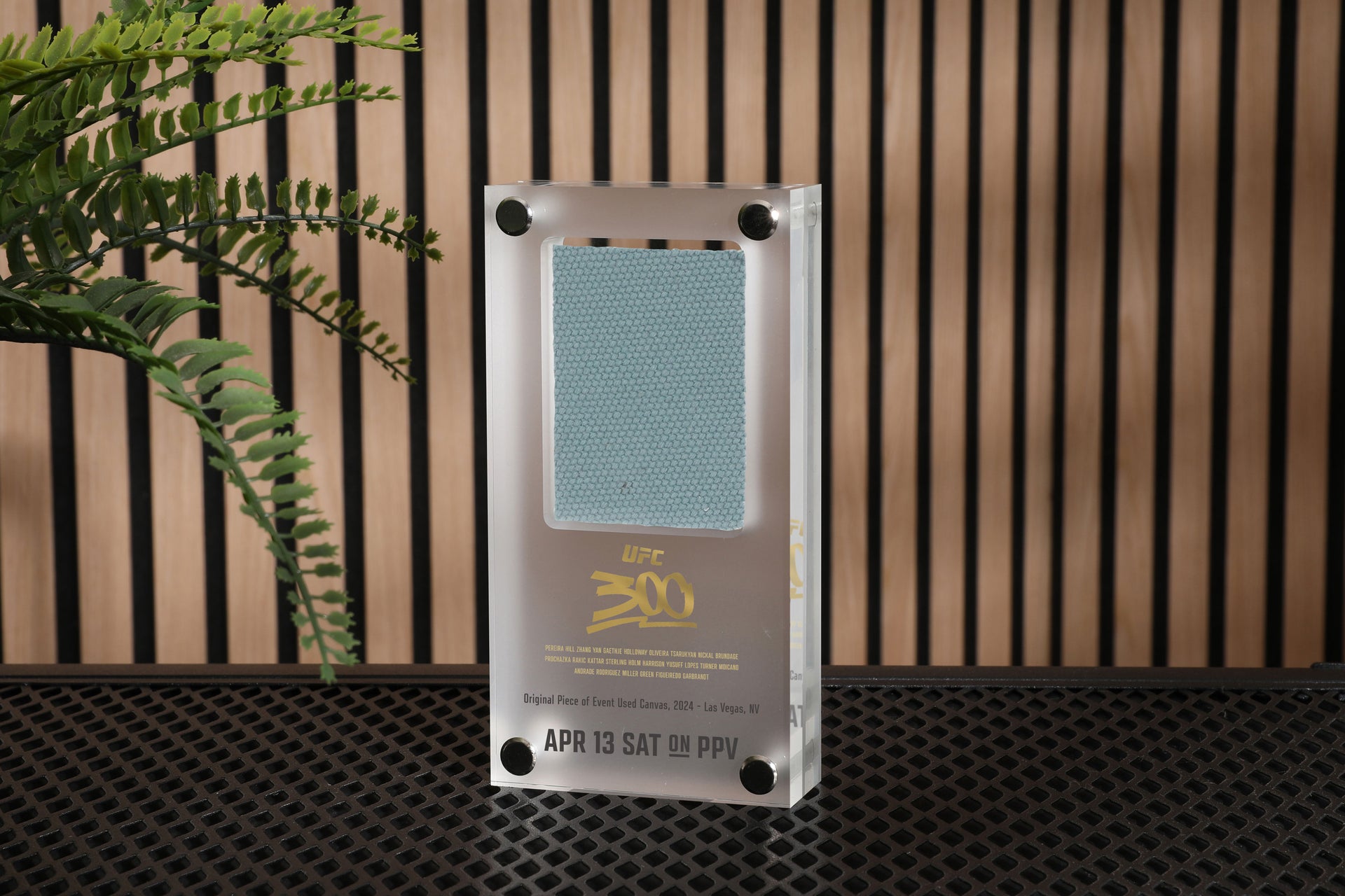 UFC 300: Pereira vs Hill Canvas in Acrylic