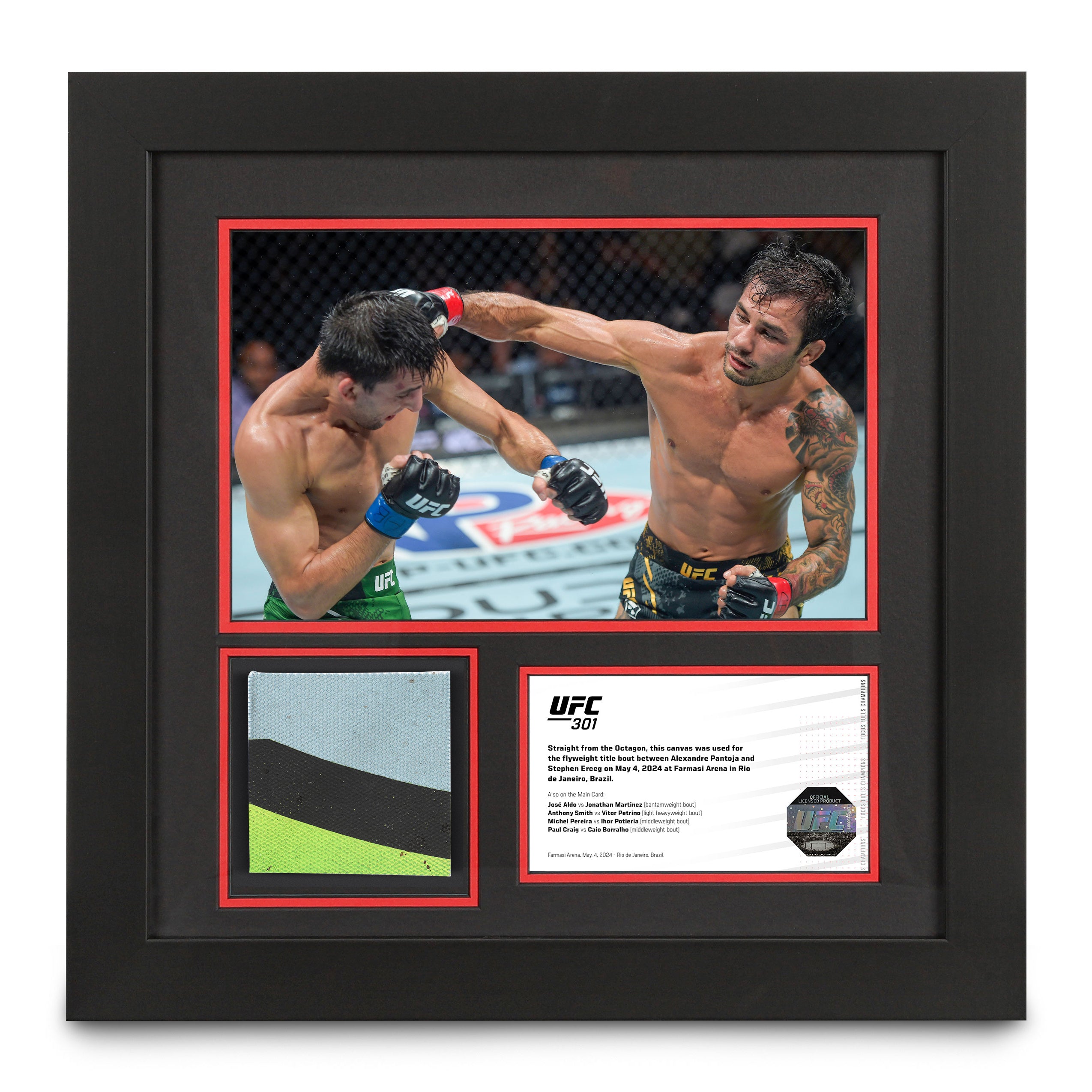 UFC 301: Pantoja vs Erceg Canvas & Photo