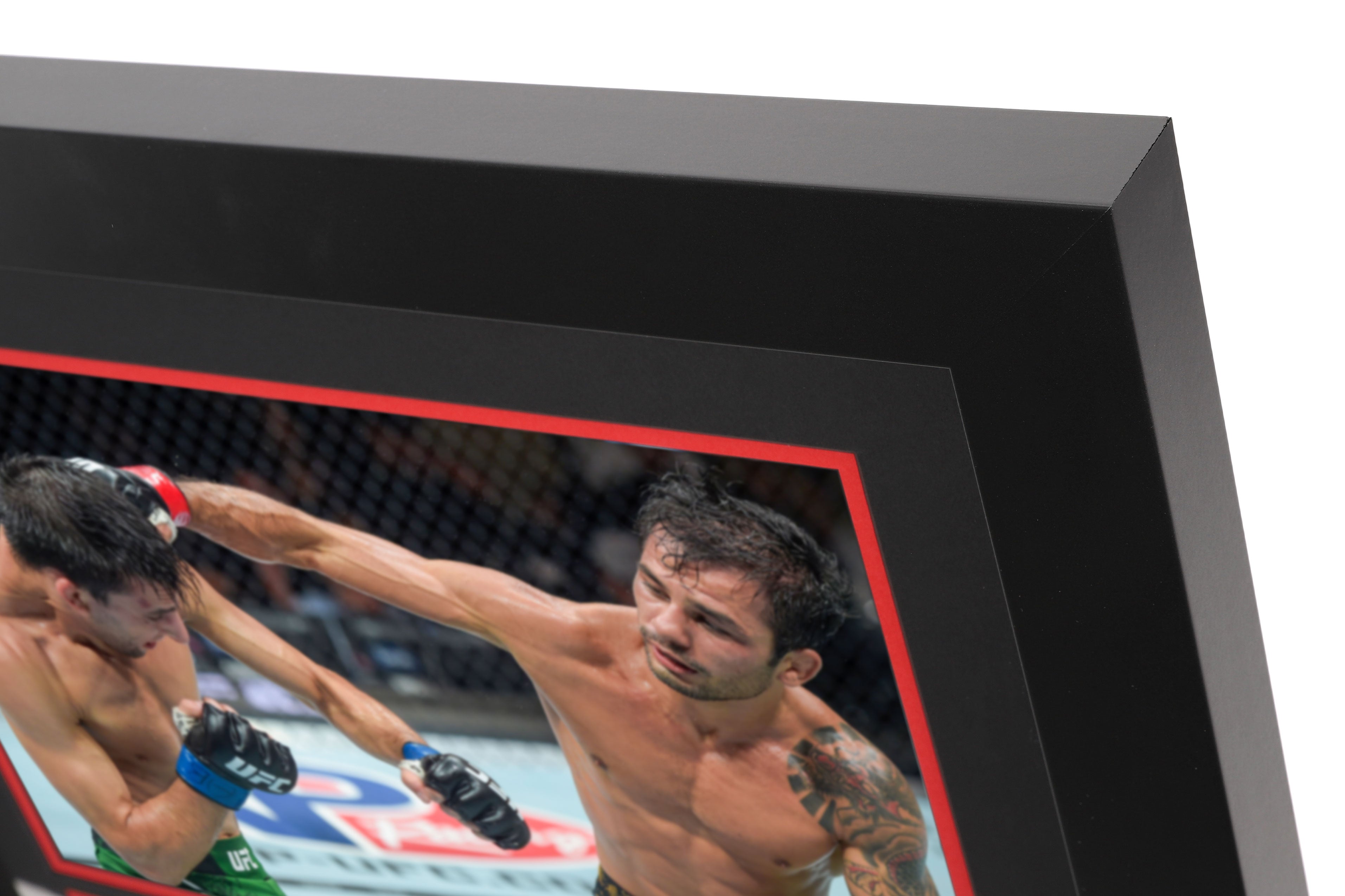 UFC 301: Pantoja vs Erceg Canvas & Photo