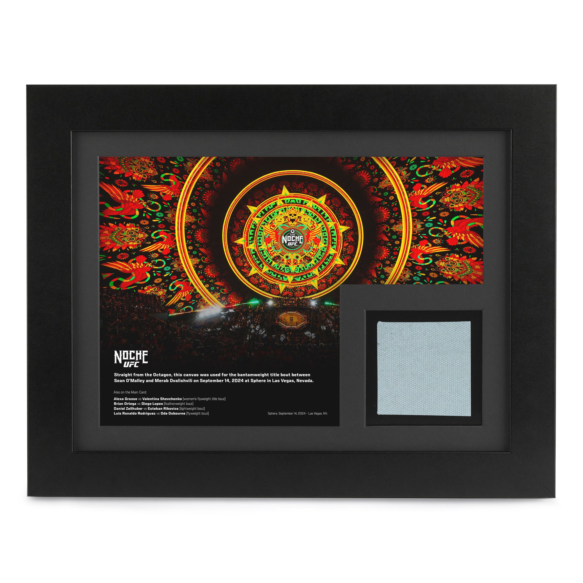 Riyadh Season Noche UFC: Canvas & Photo - Octagon