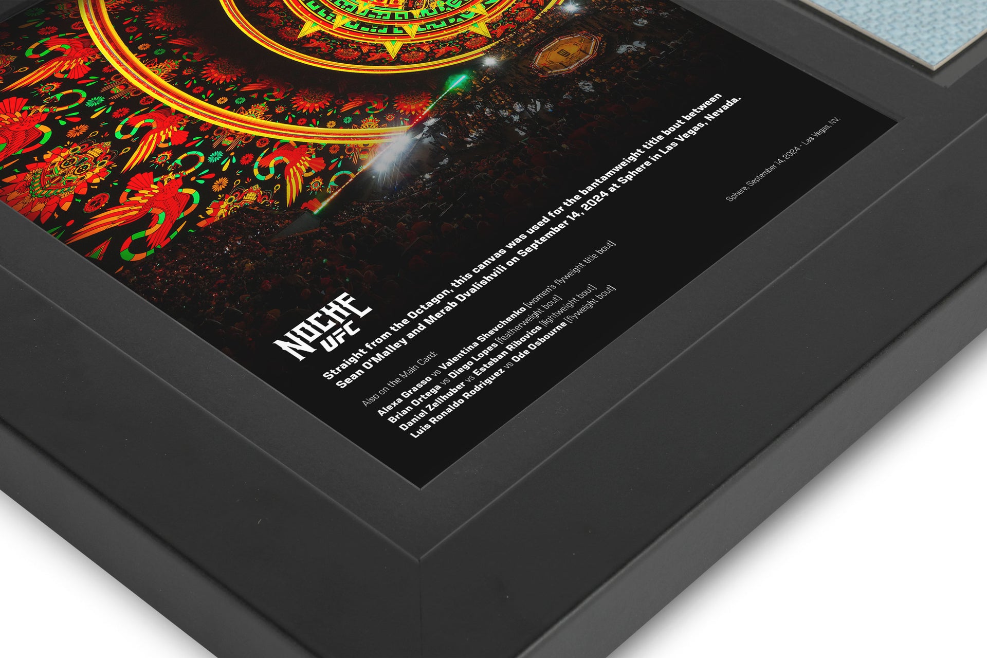 Riyadh Season Noche UFC: Canvas & Photo - Octagon