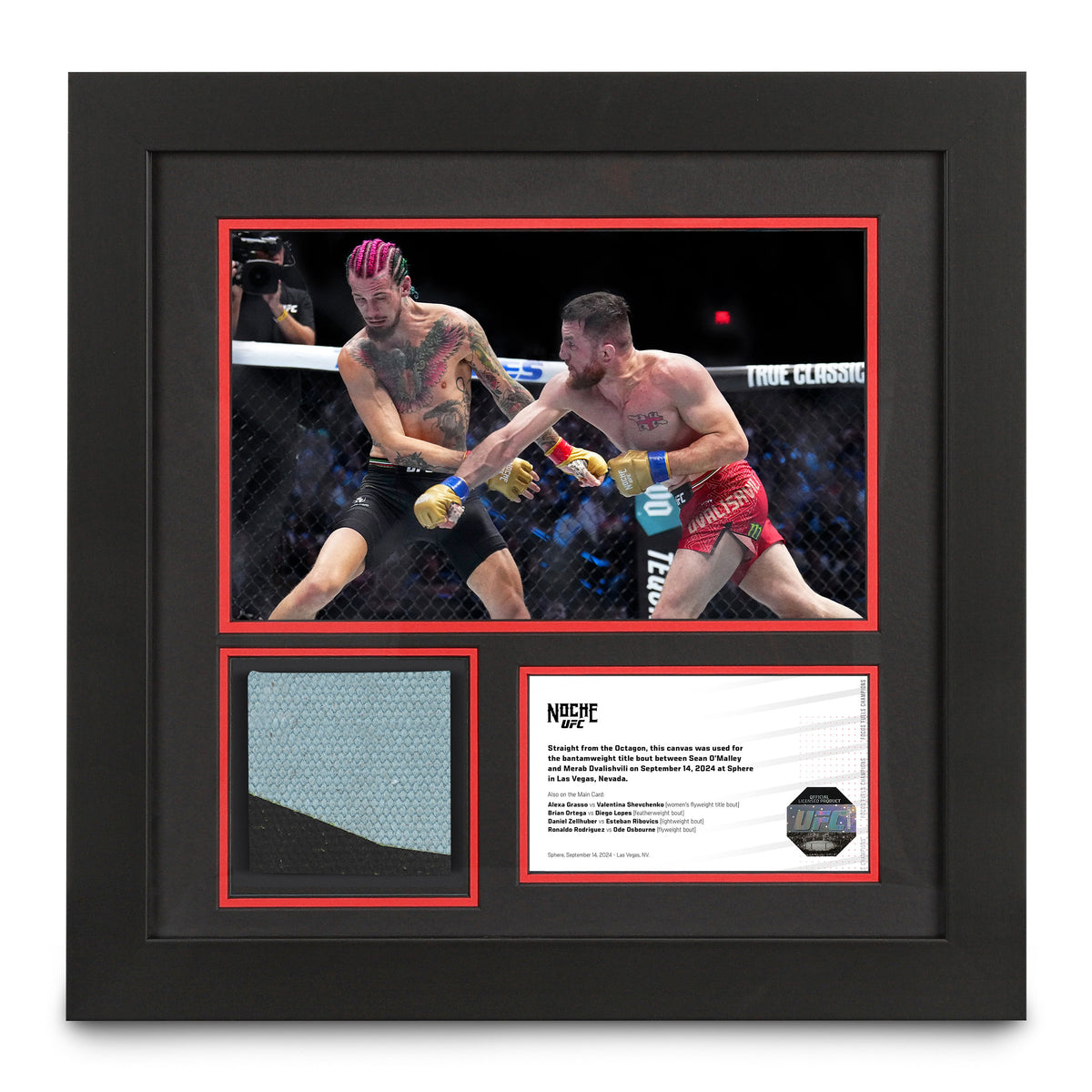 Riyadh Season Noche UFC: O'Malley vs Dvalishvili Canvas Photo