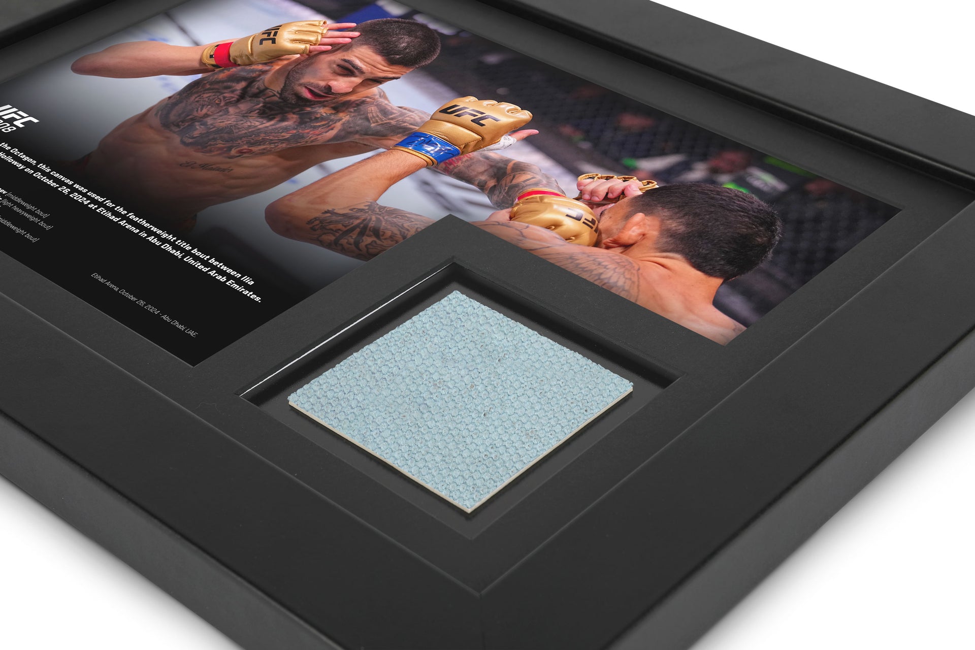 UFC 308: Topuria vs Holloway Canvas & Photo