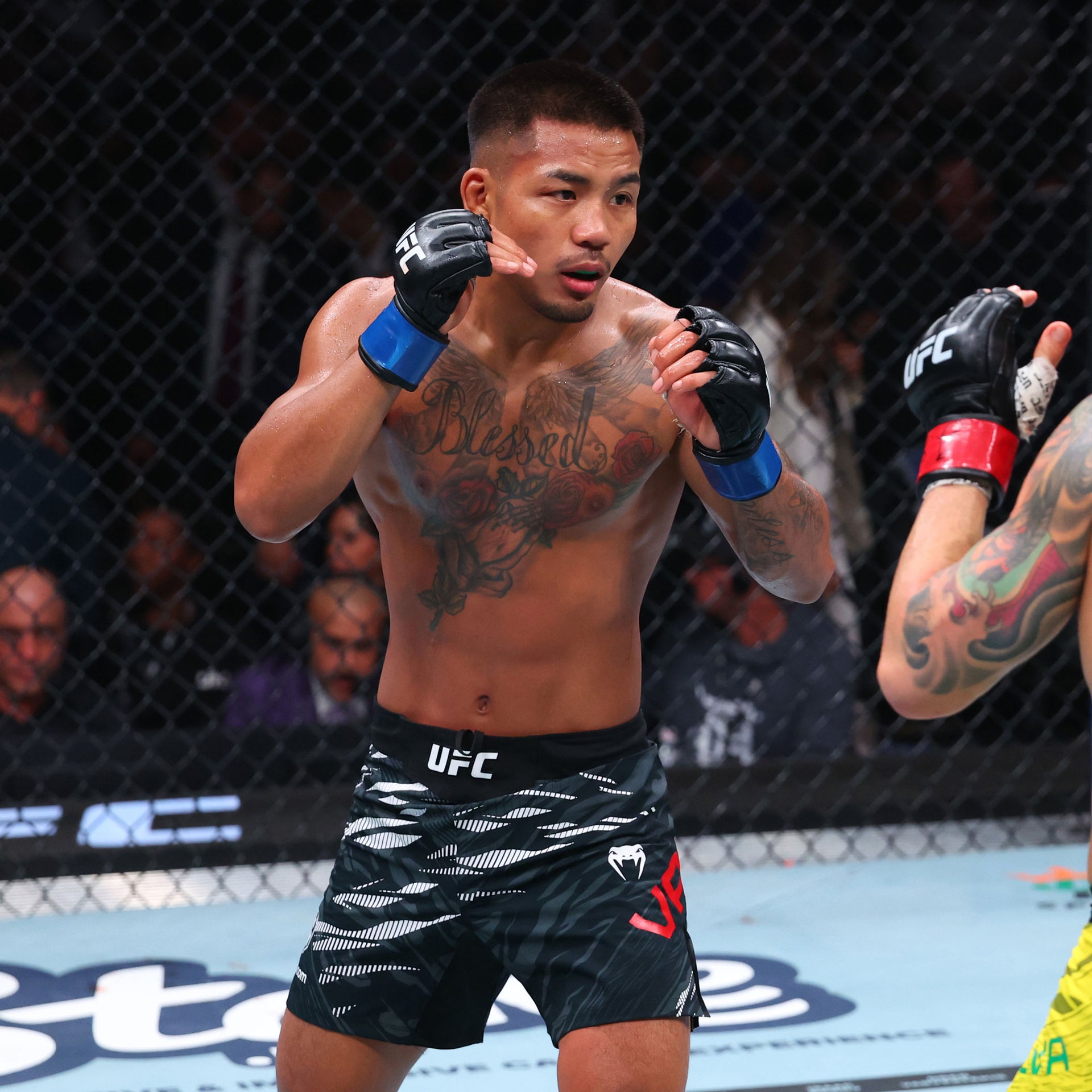 UFC 323: Dvalishvili vs Yan 2 Name on Canvas