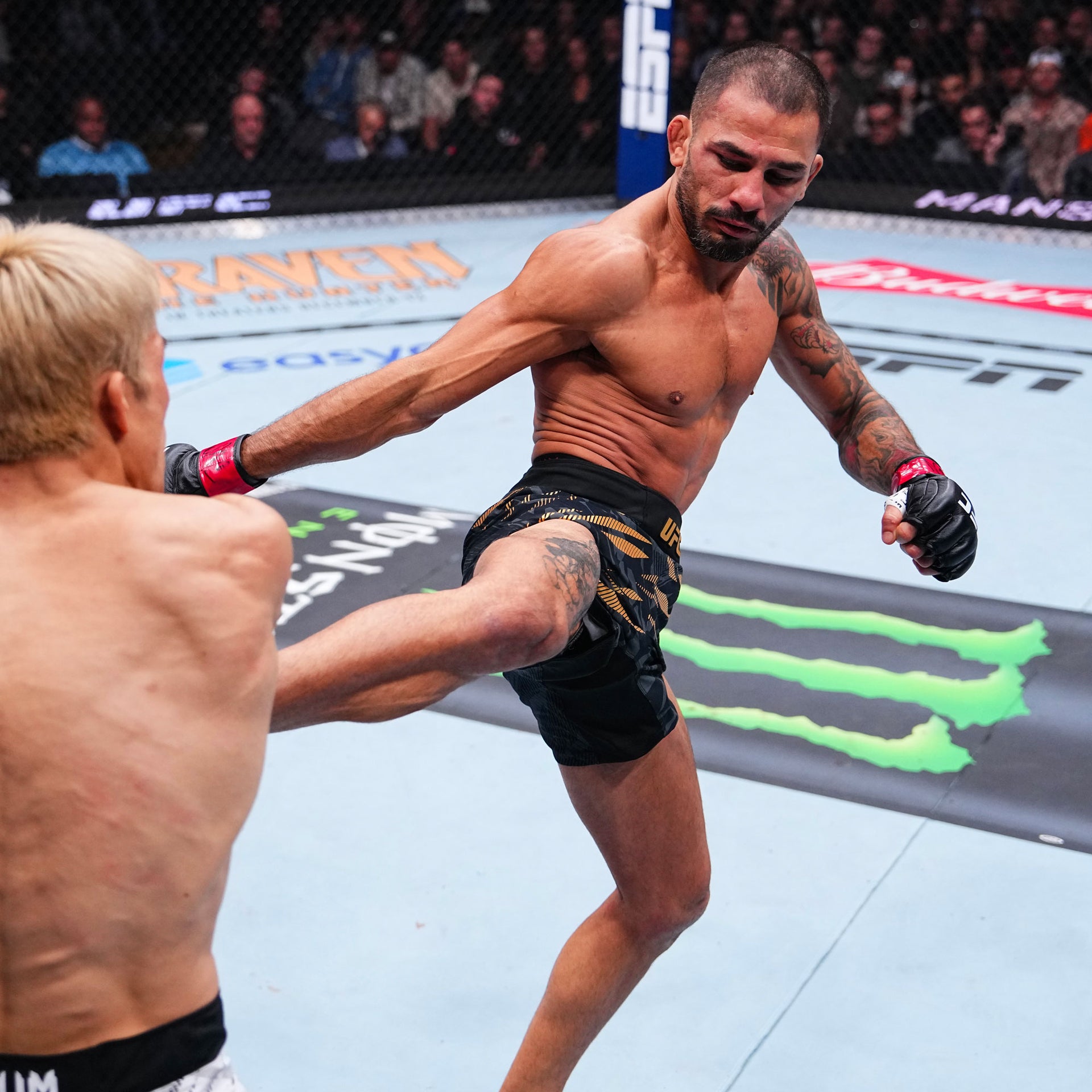 UFC 323: Dvalishvili vs Yan 2 Name on Canvas