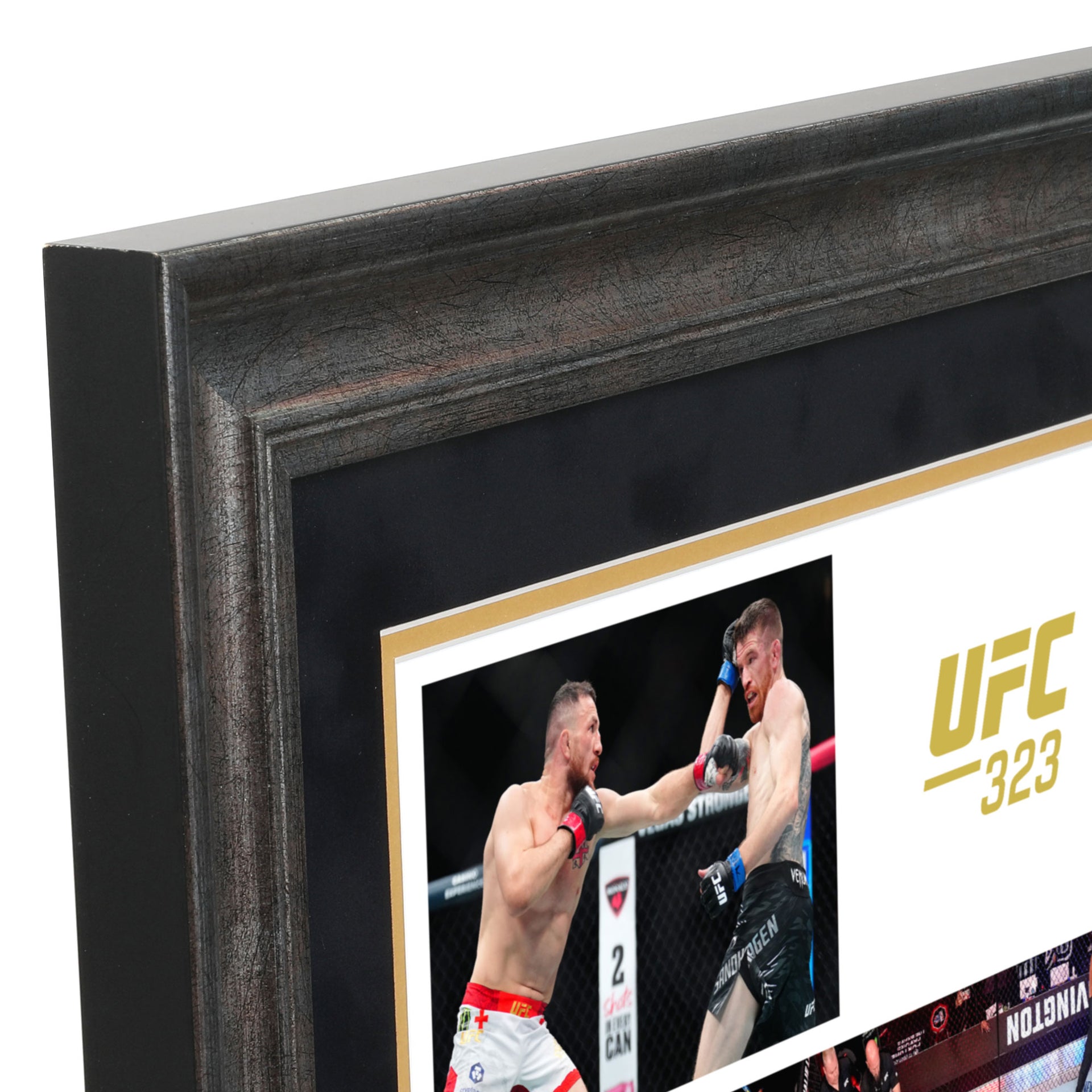 UFC 323: Dvalishvili vs Yan 2 Name on Canvas