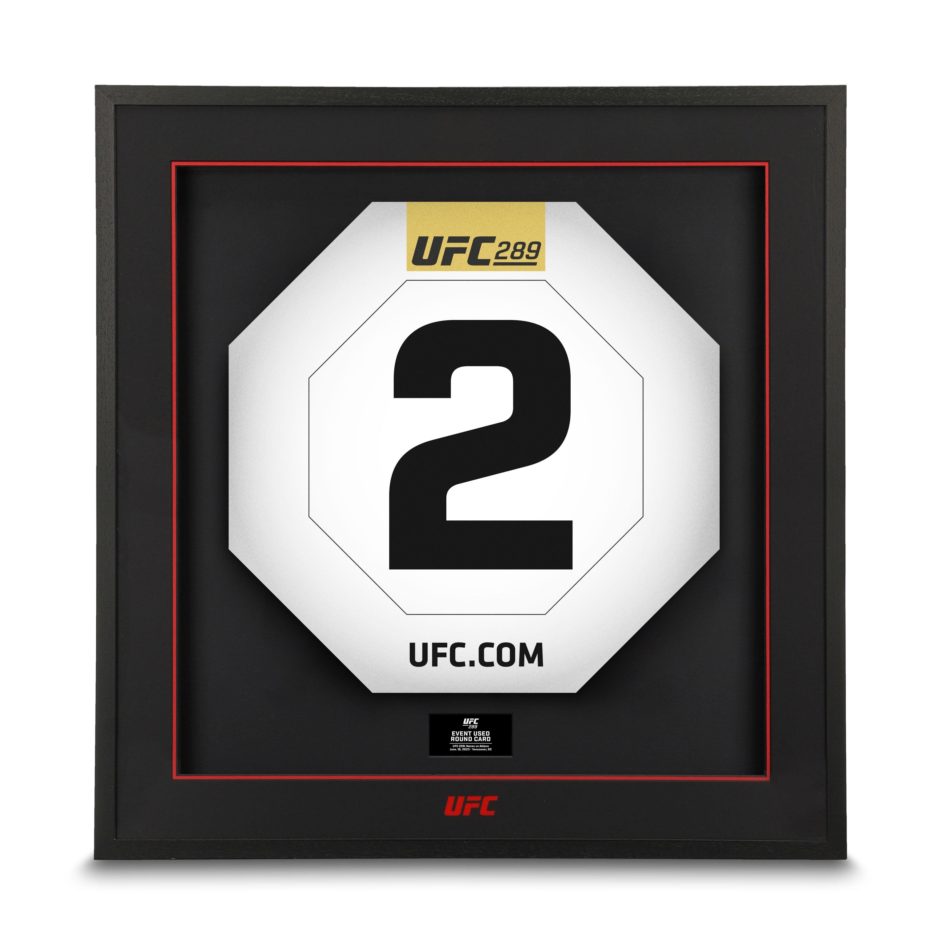 UFC 289: Nunes vs Pena 3 Round Cards