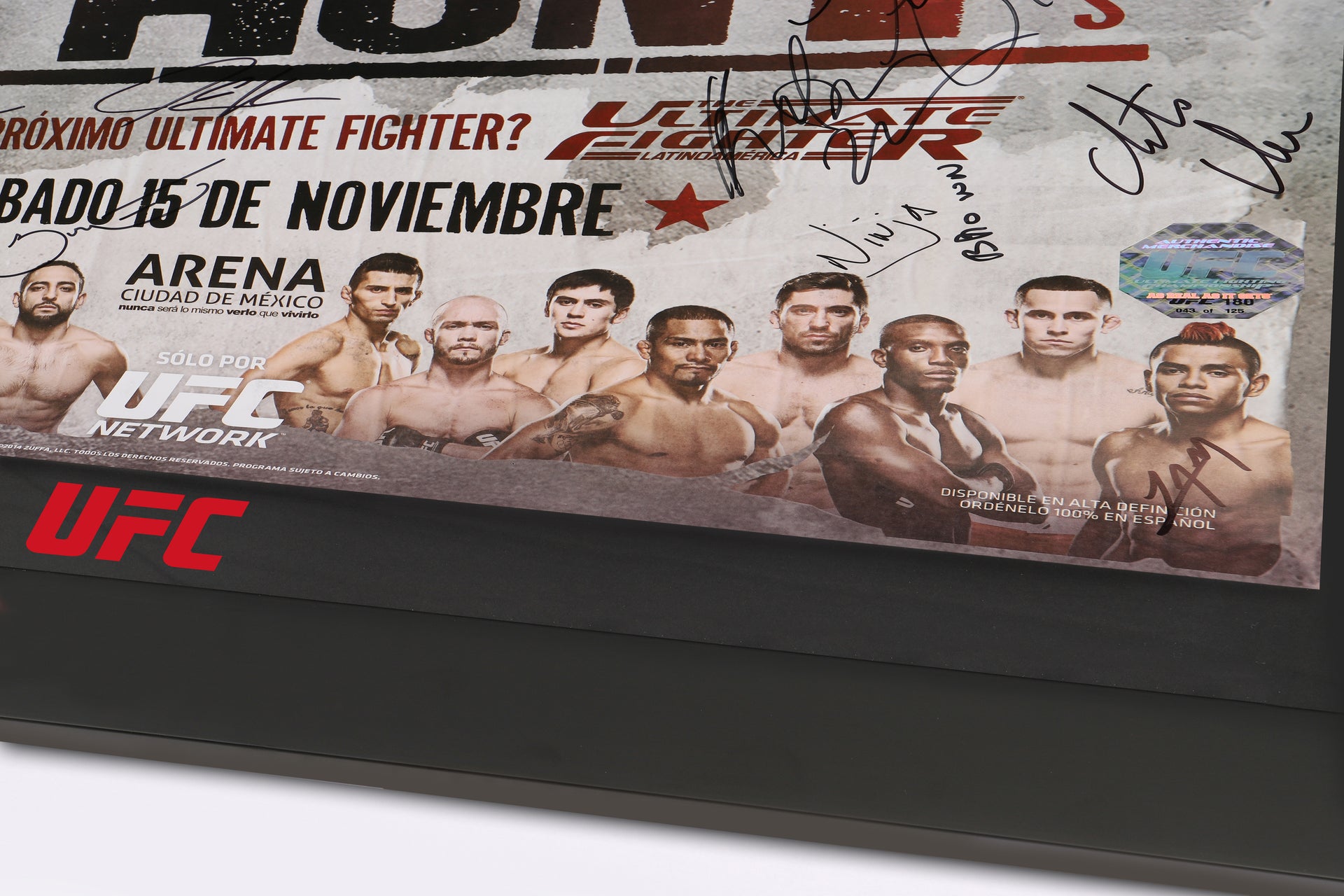 UFC 180: Werdum vs Hunt Autographed Event Poster