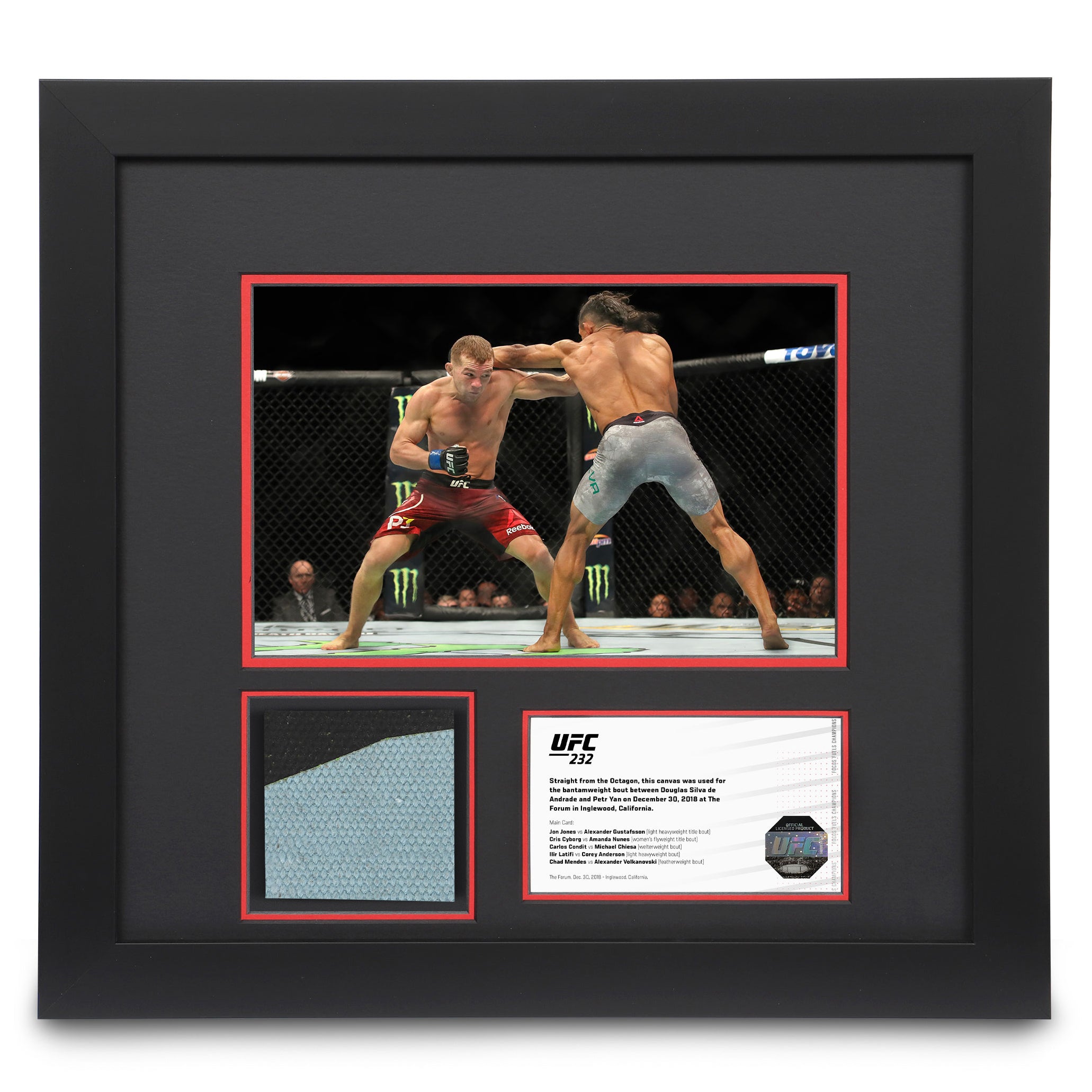 UFC 232: Jones vs Gustafsson 2 Canvas & Photo - Petr Yan