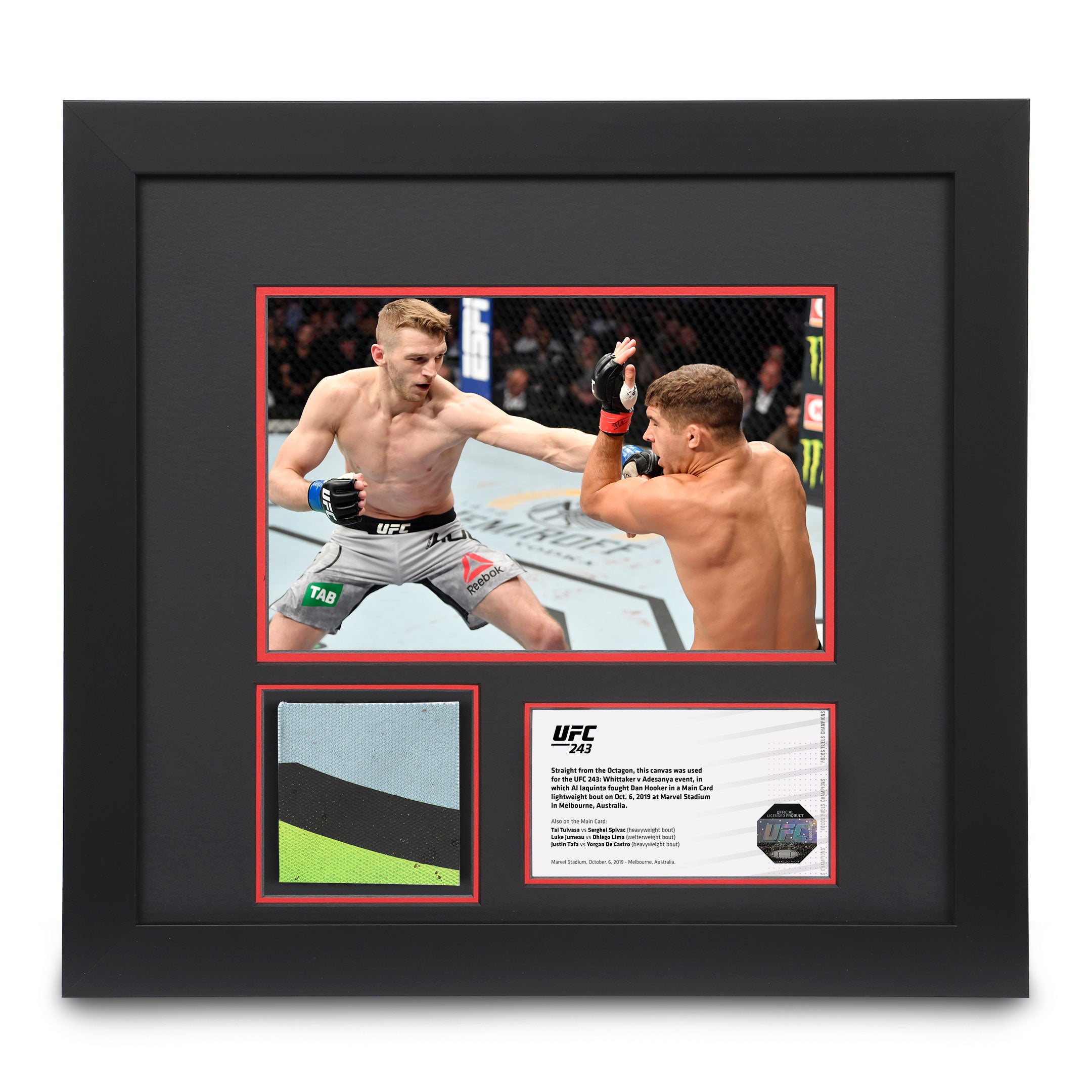 UFC 243: Whittaker vs Adesanya Canvas & Photo - Iaquinta vs Hooker