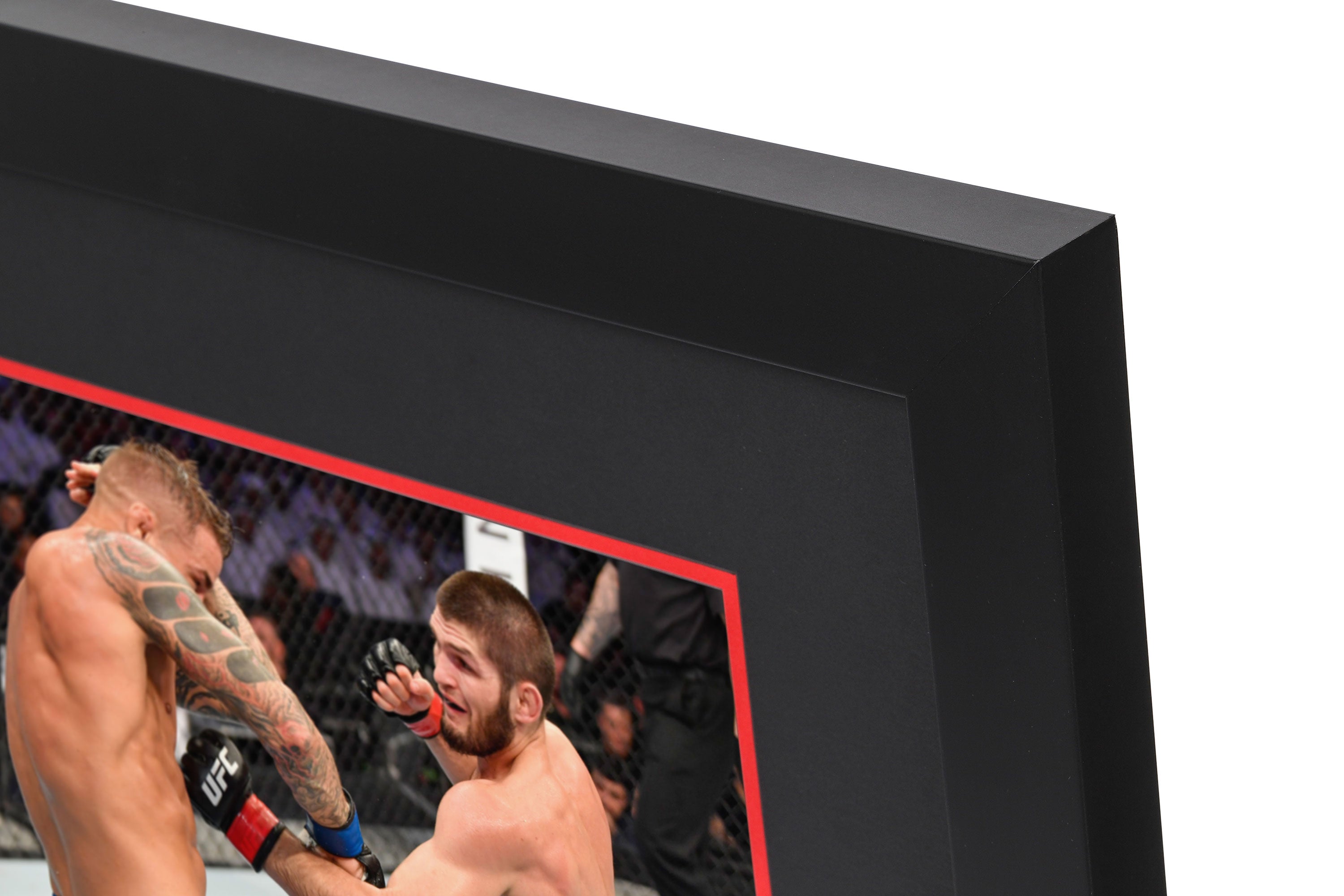 UFC 242: Khabib vs Poirier Canvas & Photo