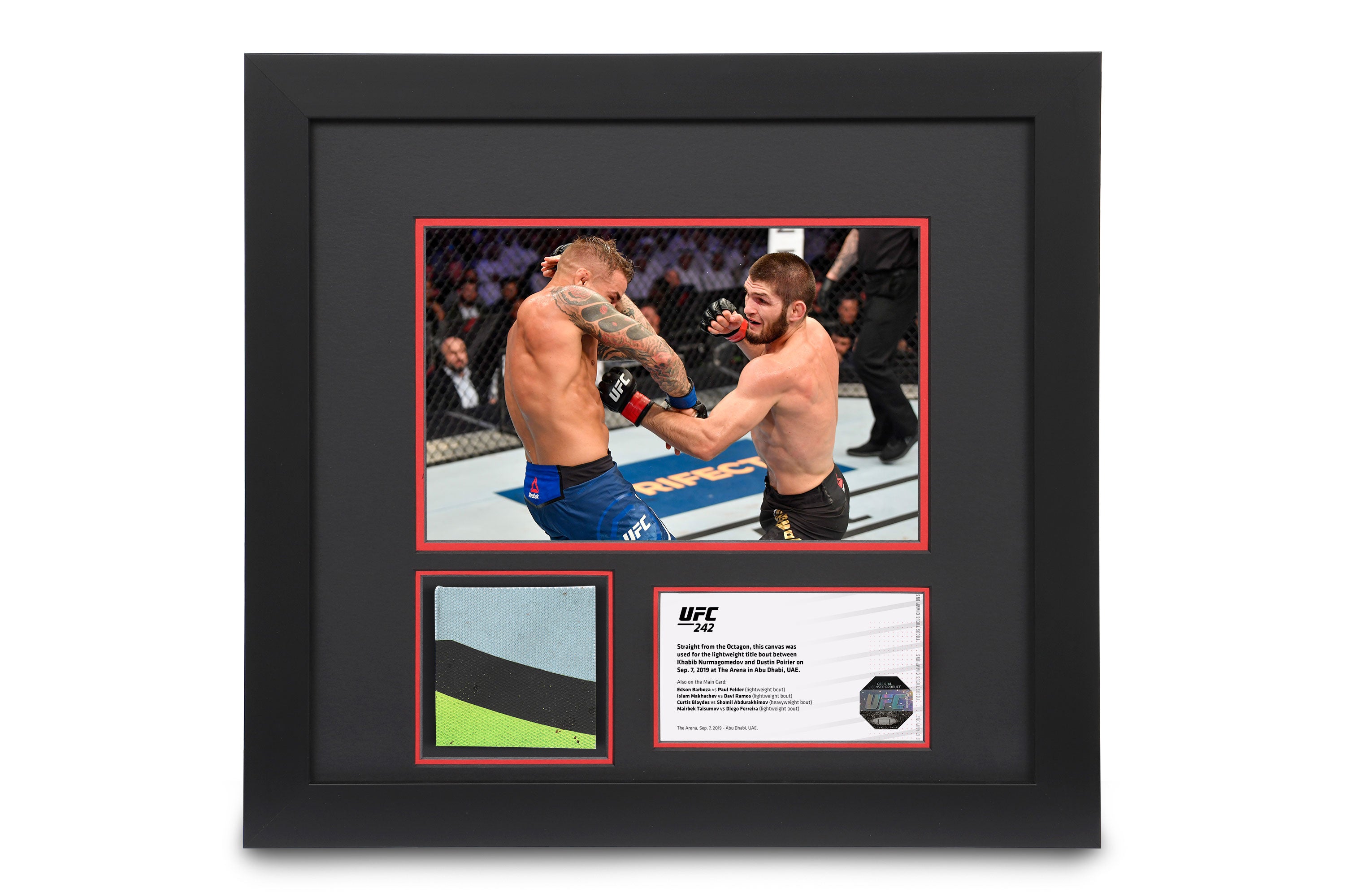 UFC 242: Khabib vs Poirier Canvas & Photo