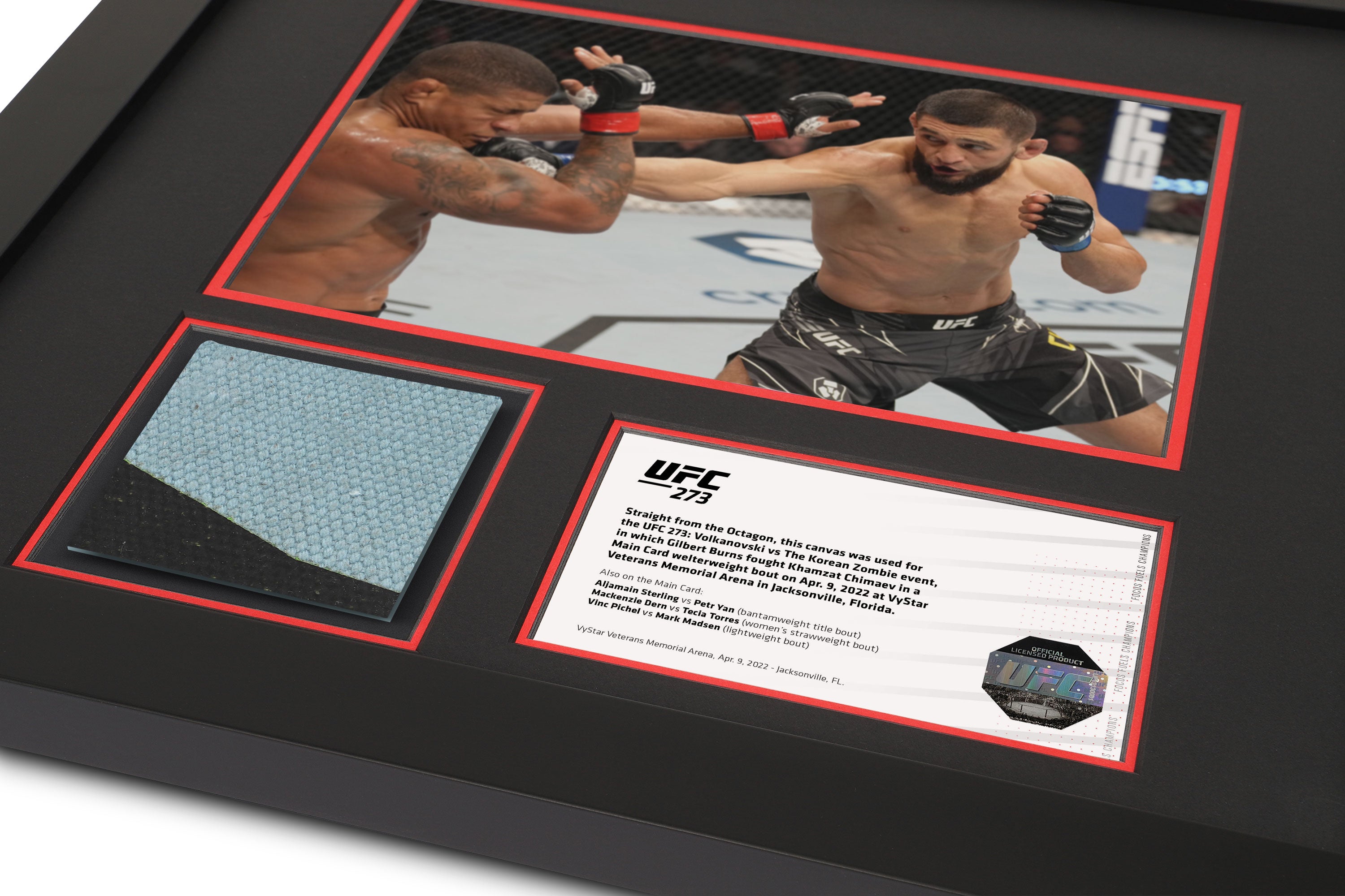 UFC 273: Gilbert Burns vs Khamzat Chimaev Canvas & Photo