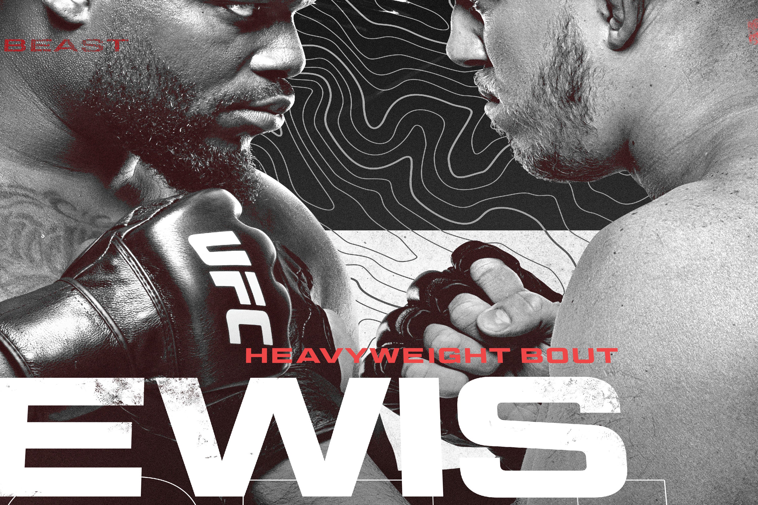 UFC Fight Night: Lewis vs Spivak Autographed Event Poster