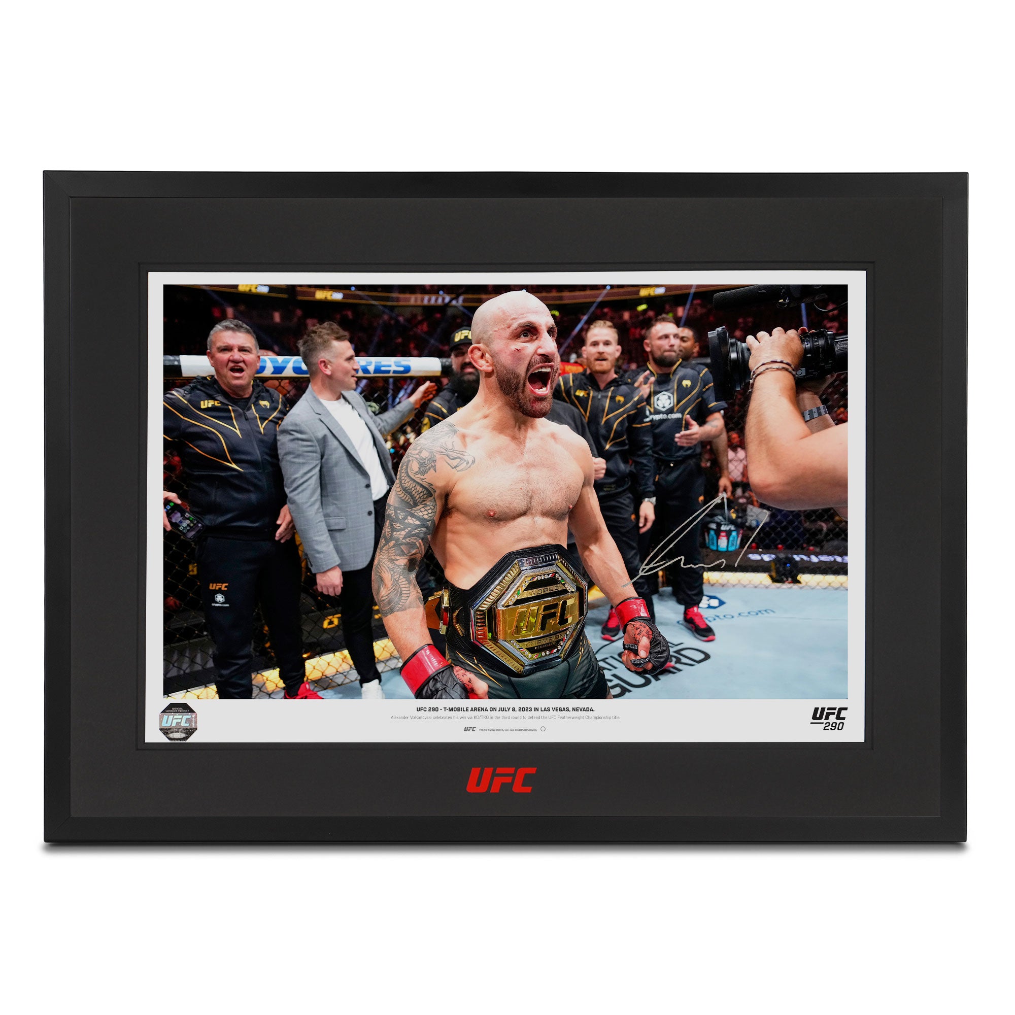 Framed UFC Collectible! outlet 1 of 1!