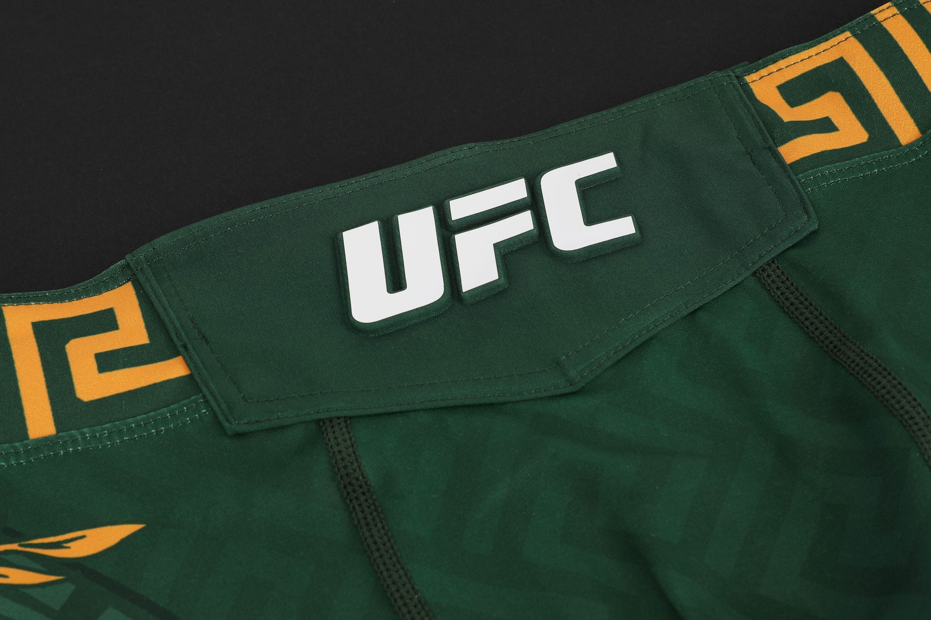 Alexander Volkanovski Limited Edition UFC 314 Venum Shorts & Canvas Display