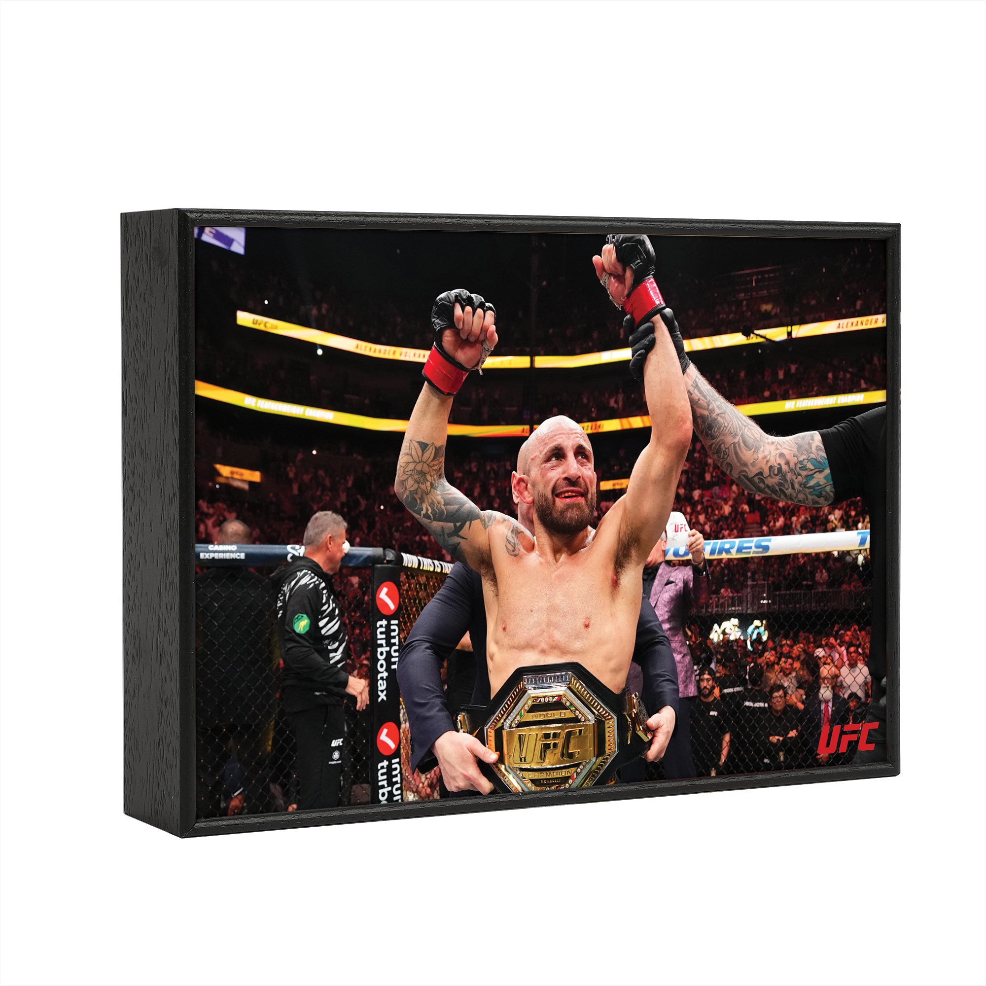 UFC 314: Volkanovski vs Lopes - Alexander Volkanovski Framed Print