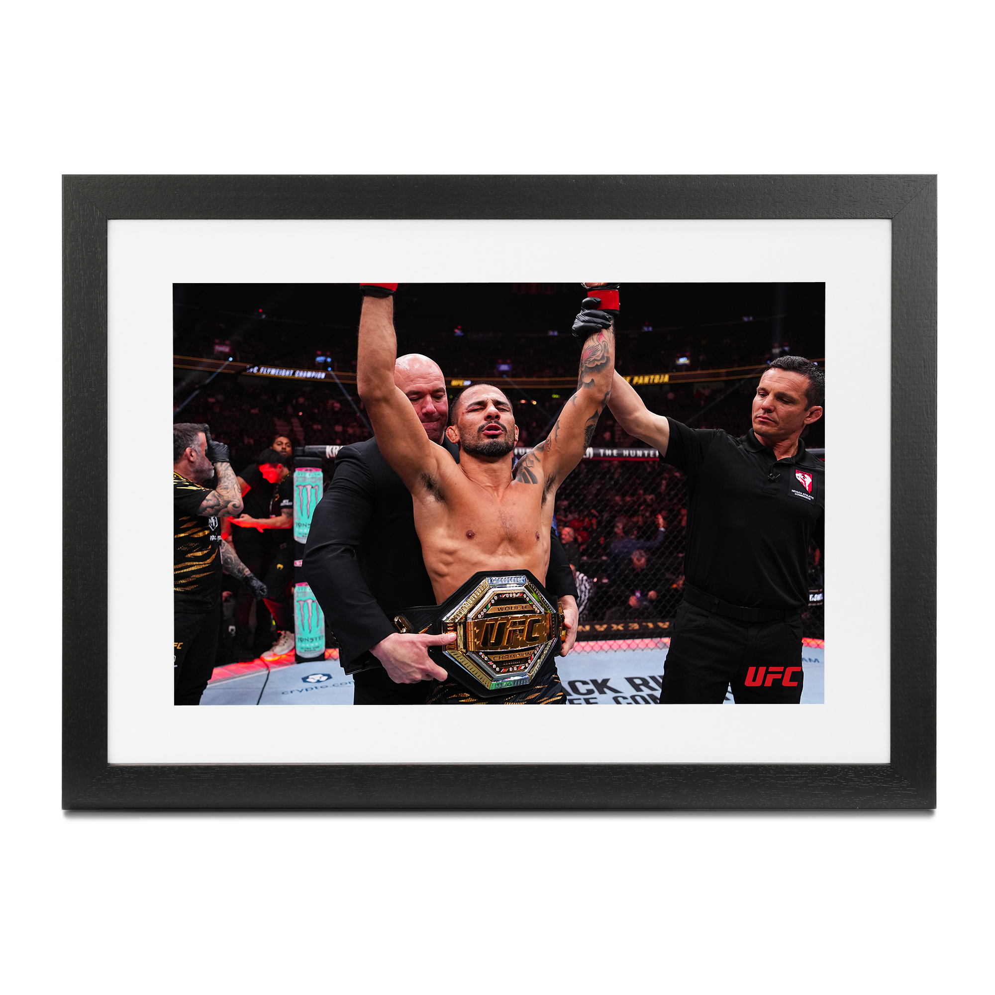 UFC 310: Pantoja vs Asakura - Alexandre Pantoja Framed Print