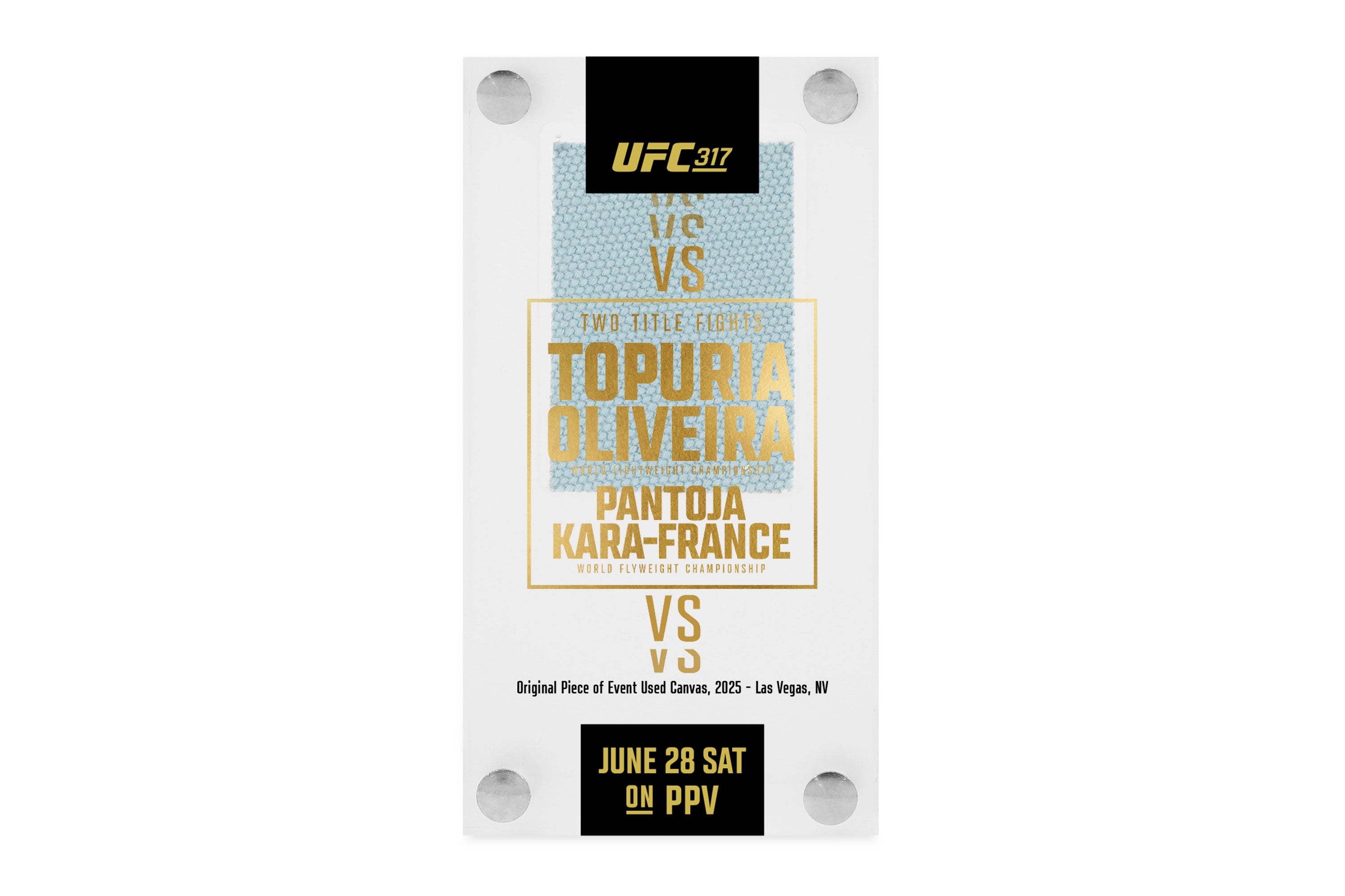 Asset-5UFC317_Canvas-in-