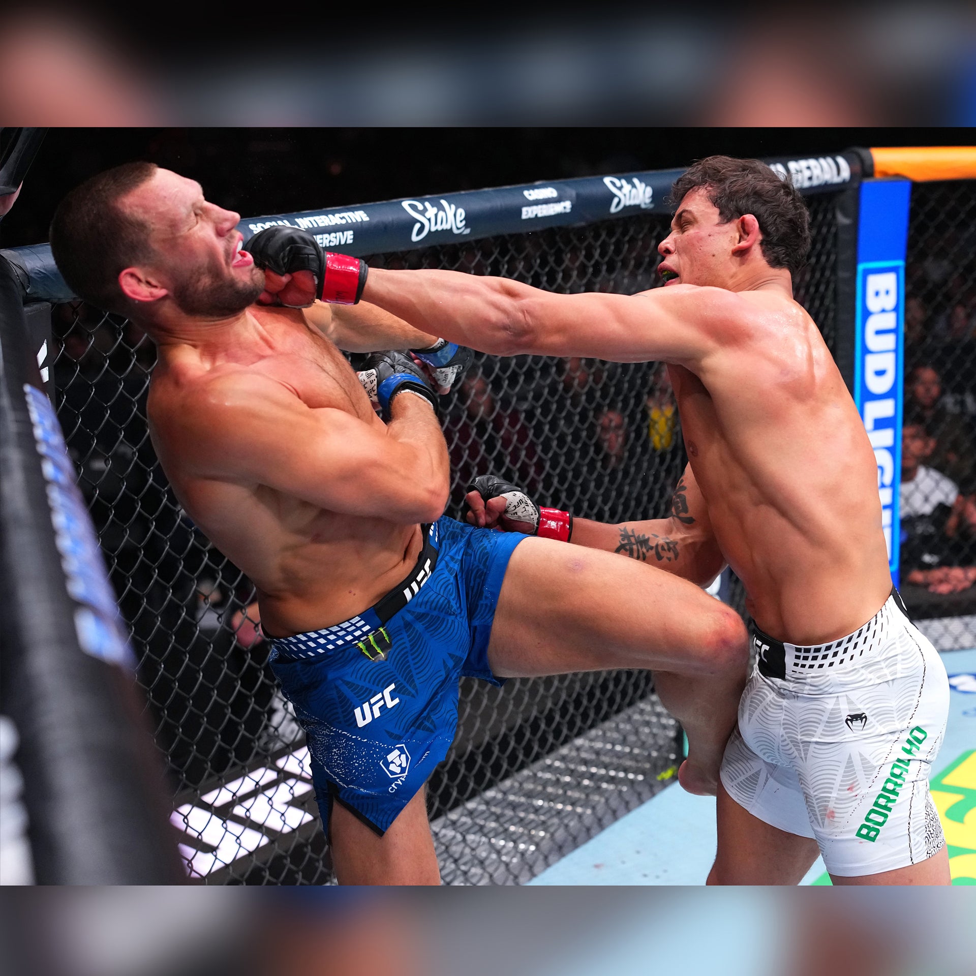 Caio Borralho Signed 1-of-1 Fight Worn Right Glove UFC 326: Holloway vs Oliveira 2