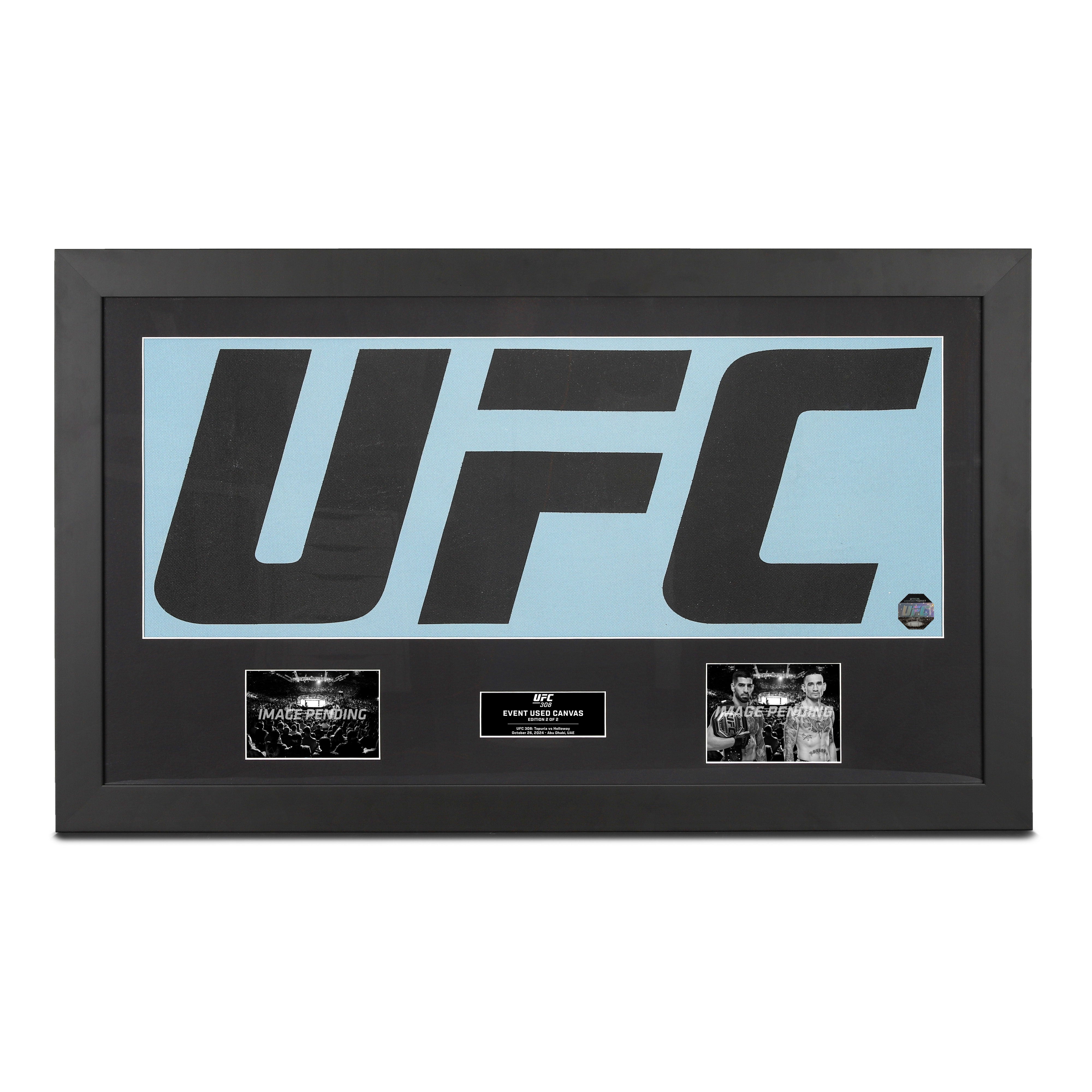 UFC 308: Topuria vs. Holloway UFC Logo Canvas & Photos - Edition 2