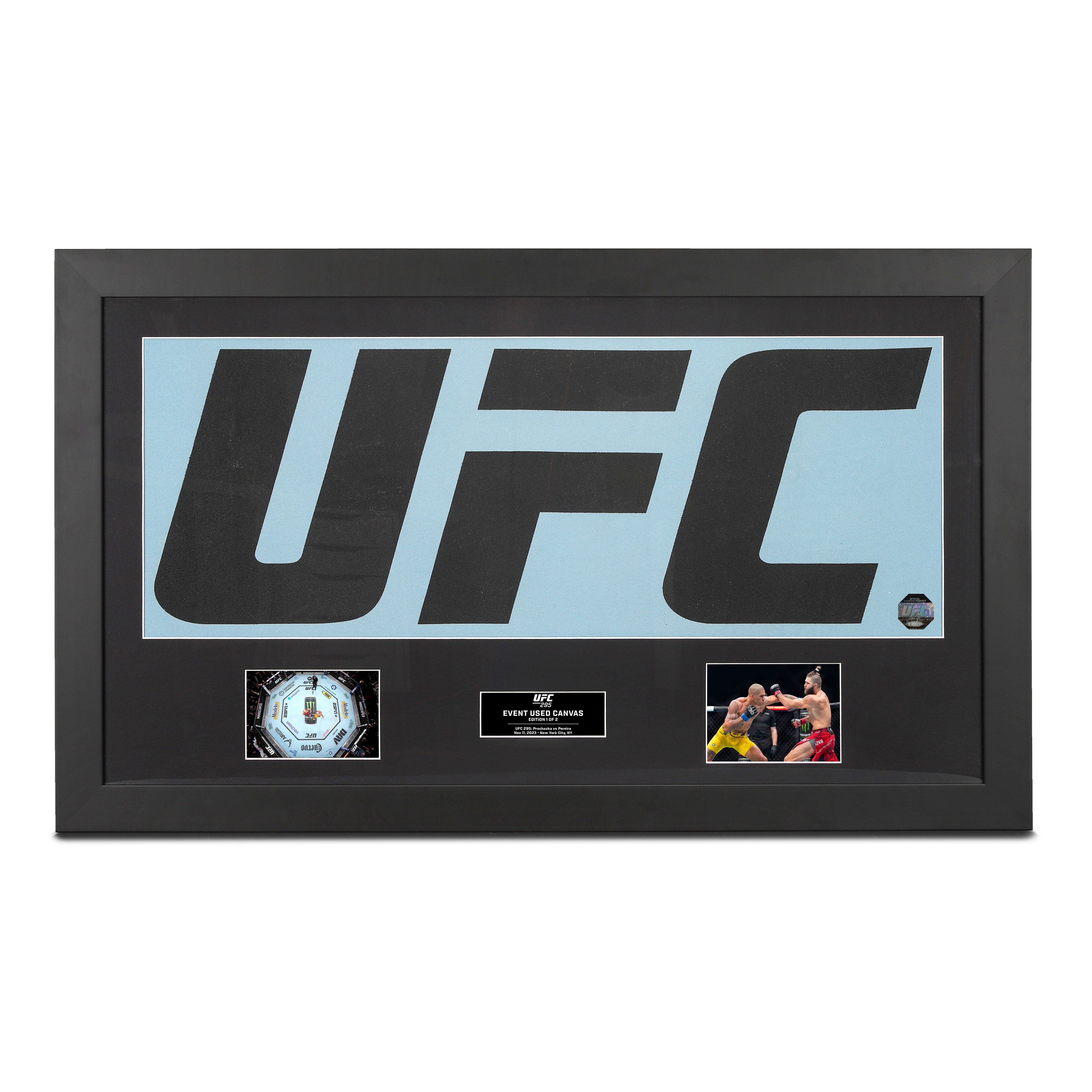 UFC 295: Prochazka vs Pereira UFC Logo Canvas & Photos
