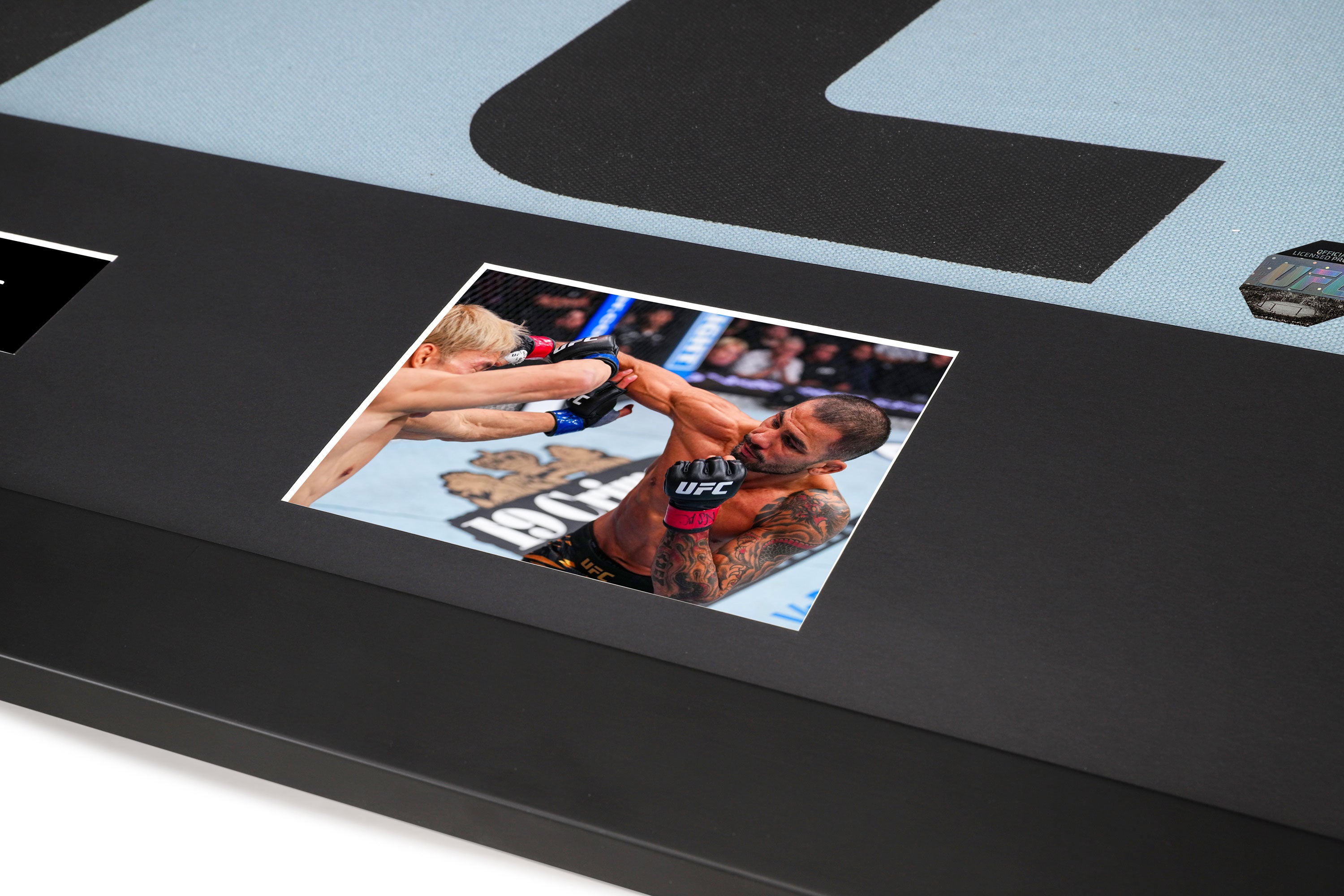 UFC 310: Pantoja vs Asakura UFC Logo Canvas & Photos – Edition 2