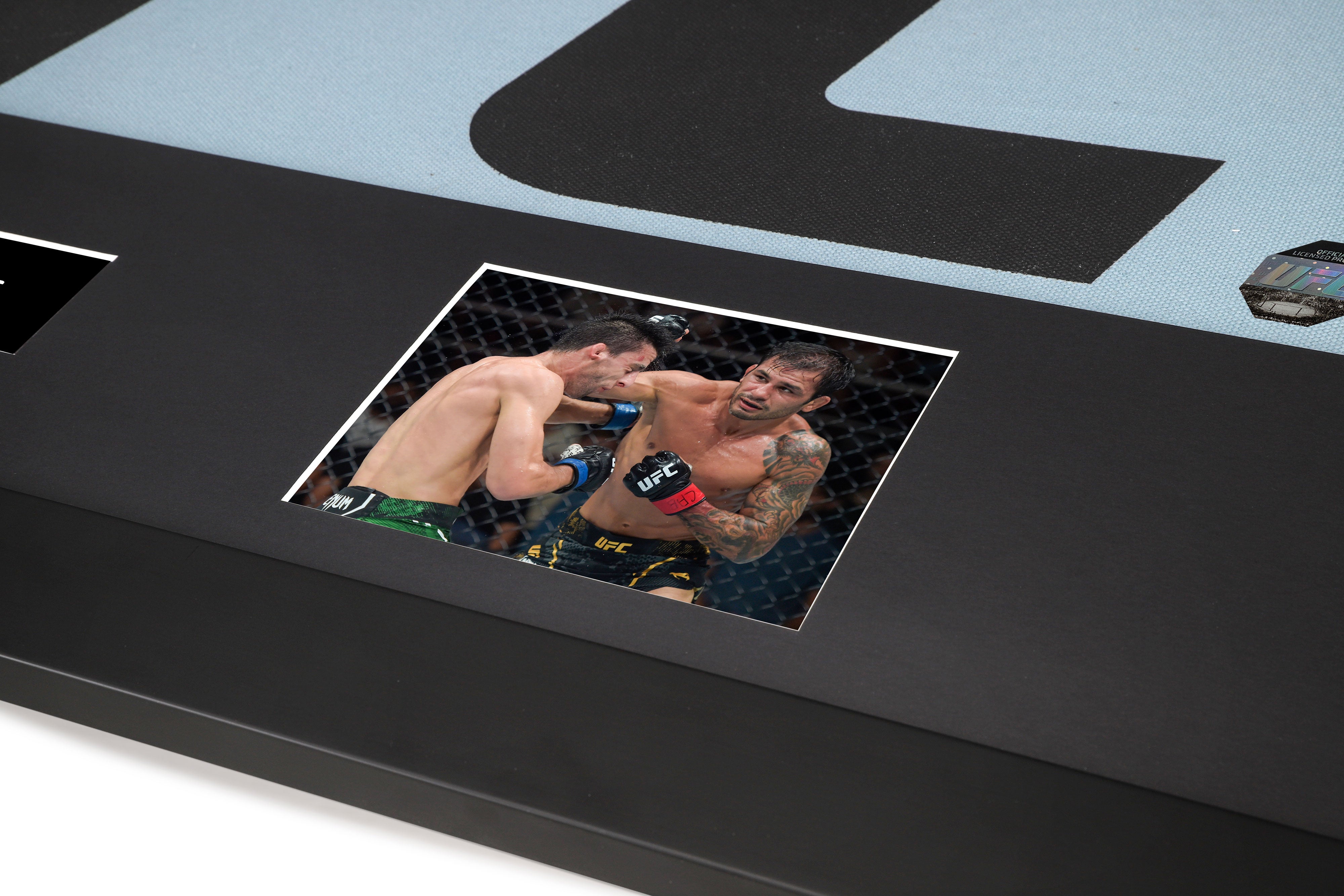 UFC 301: Pantoja vs Erceg UFC Logo Canvas & Photos - Edition 2