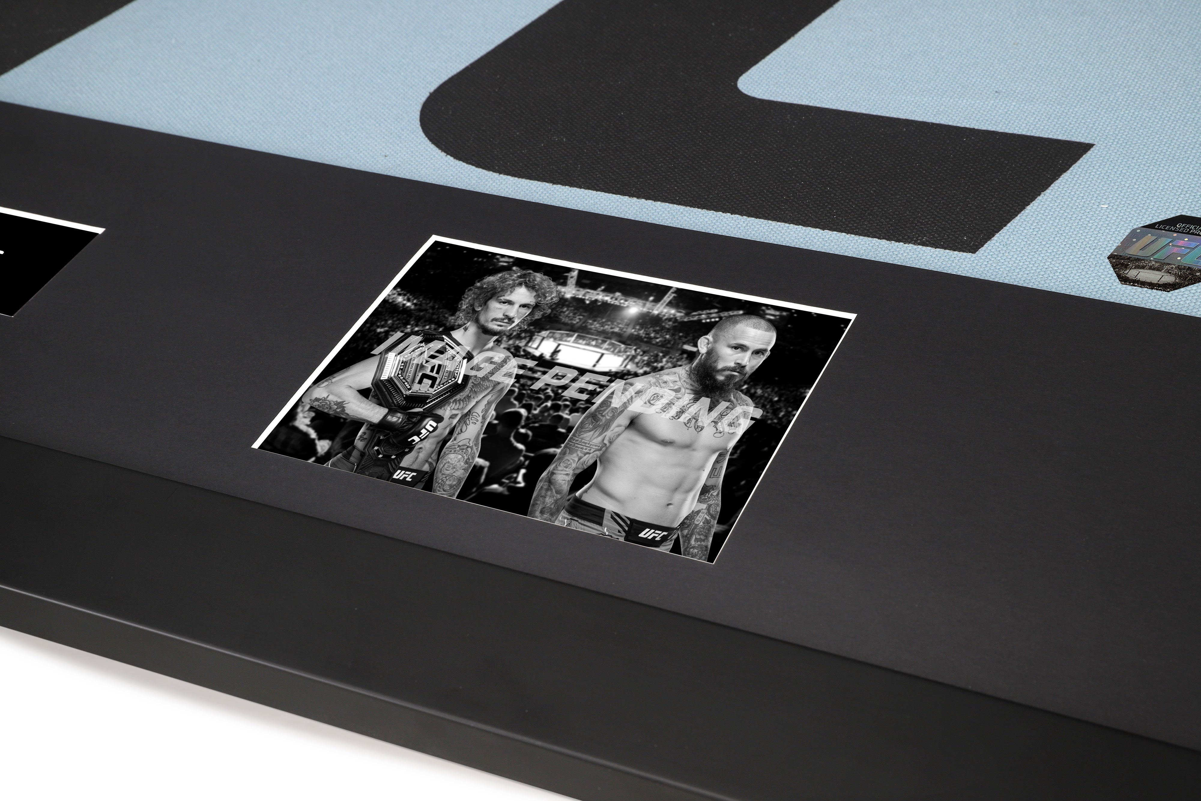 UFC 299: O'Malley vs Vera 2 UFC Logo Canvas & Photos