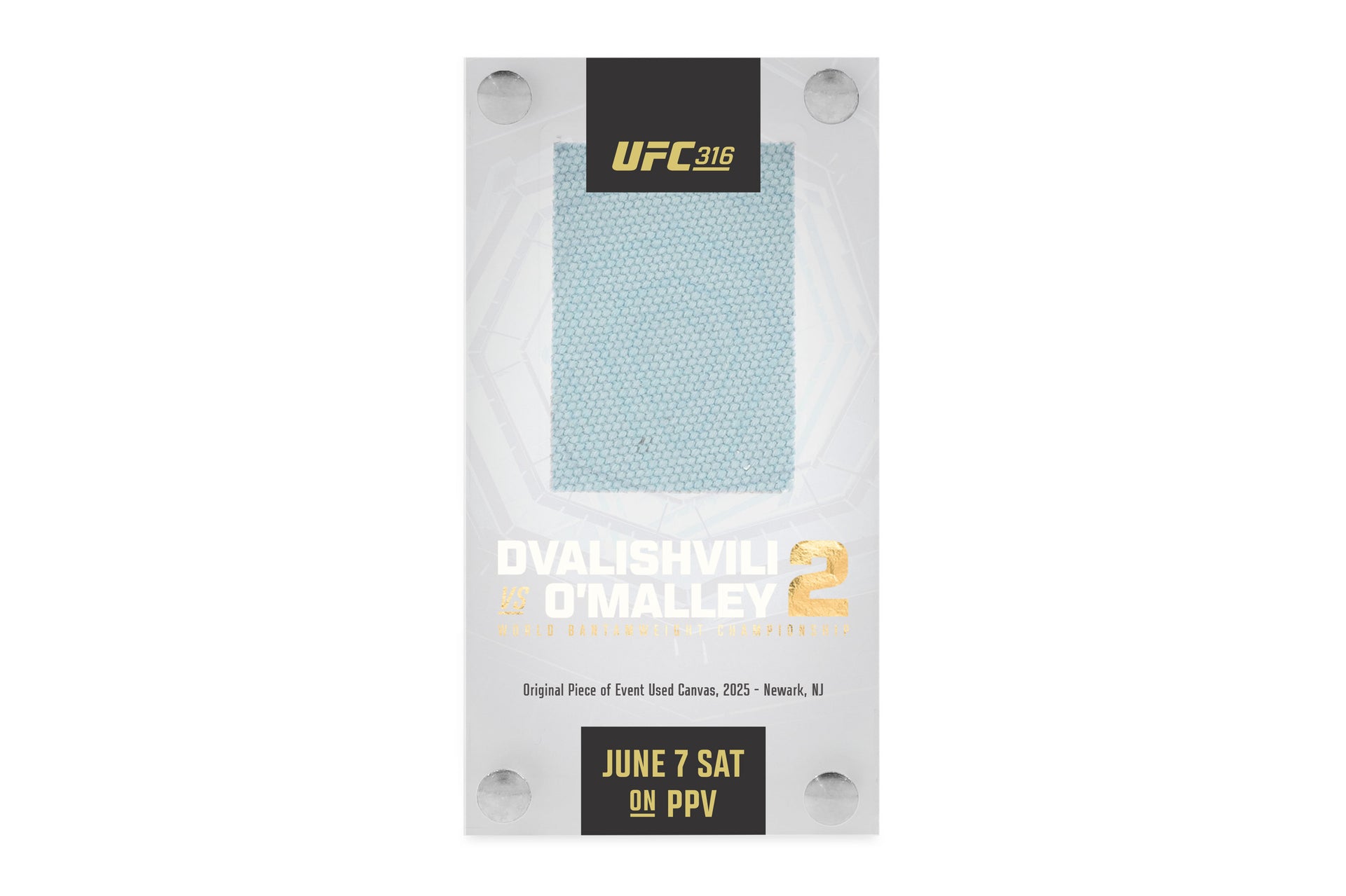 UFC 316: Dvalishvili vs O’Malley 2 Canvas in Acrylic