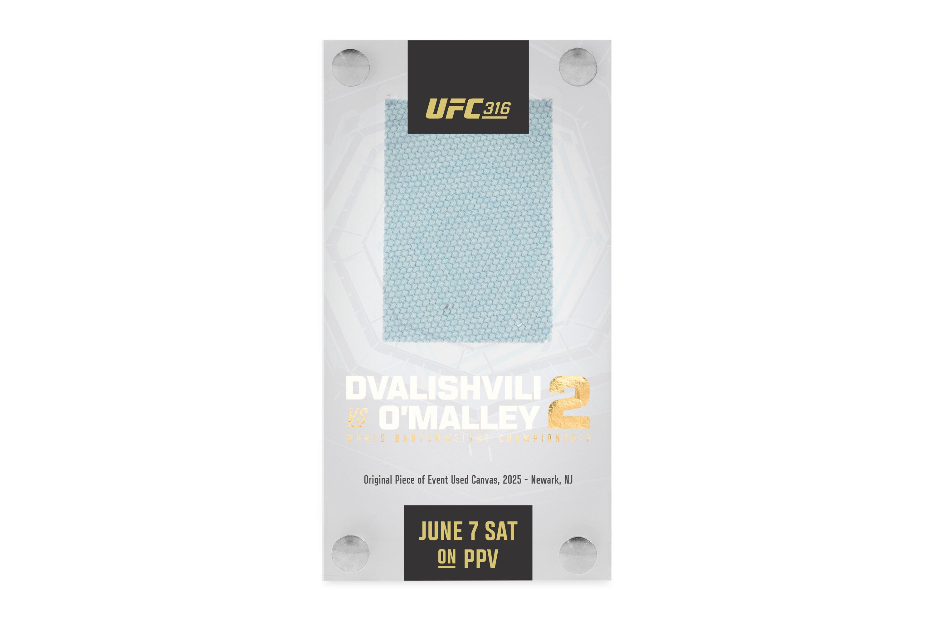 UFC 316: Dvalishvili vs O’Malley 2 Canvas in Acrylic