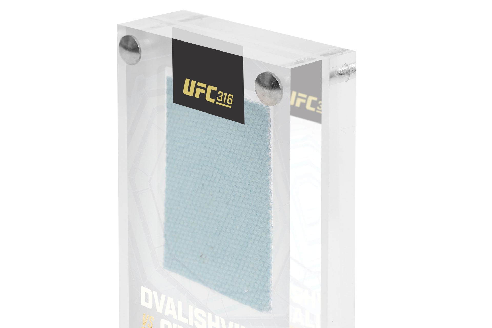 UFC 316: Dvalishvili vs O’Malley 2 Canvas in Acrylic