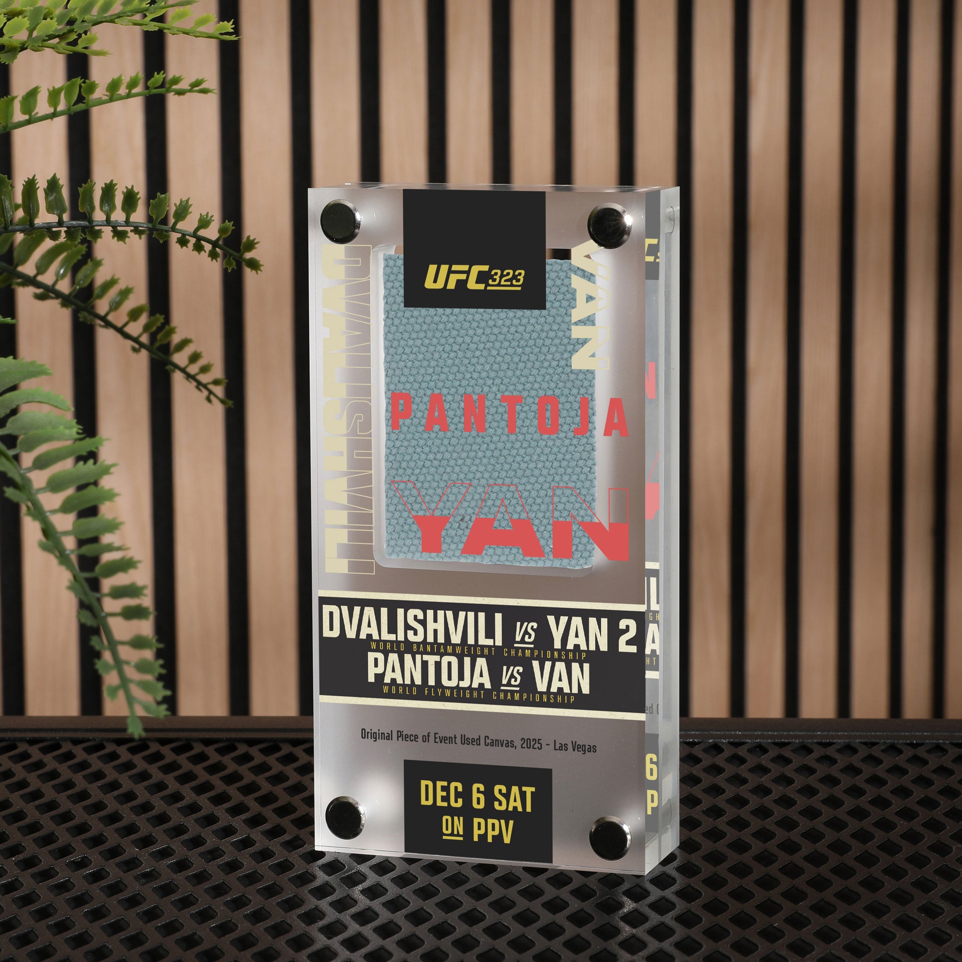 UFC 323: Dvalishvili vs Yan 2 Canvas in Acrylic